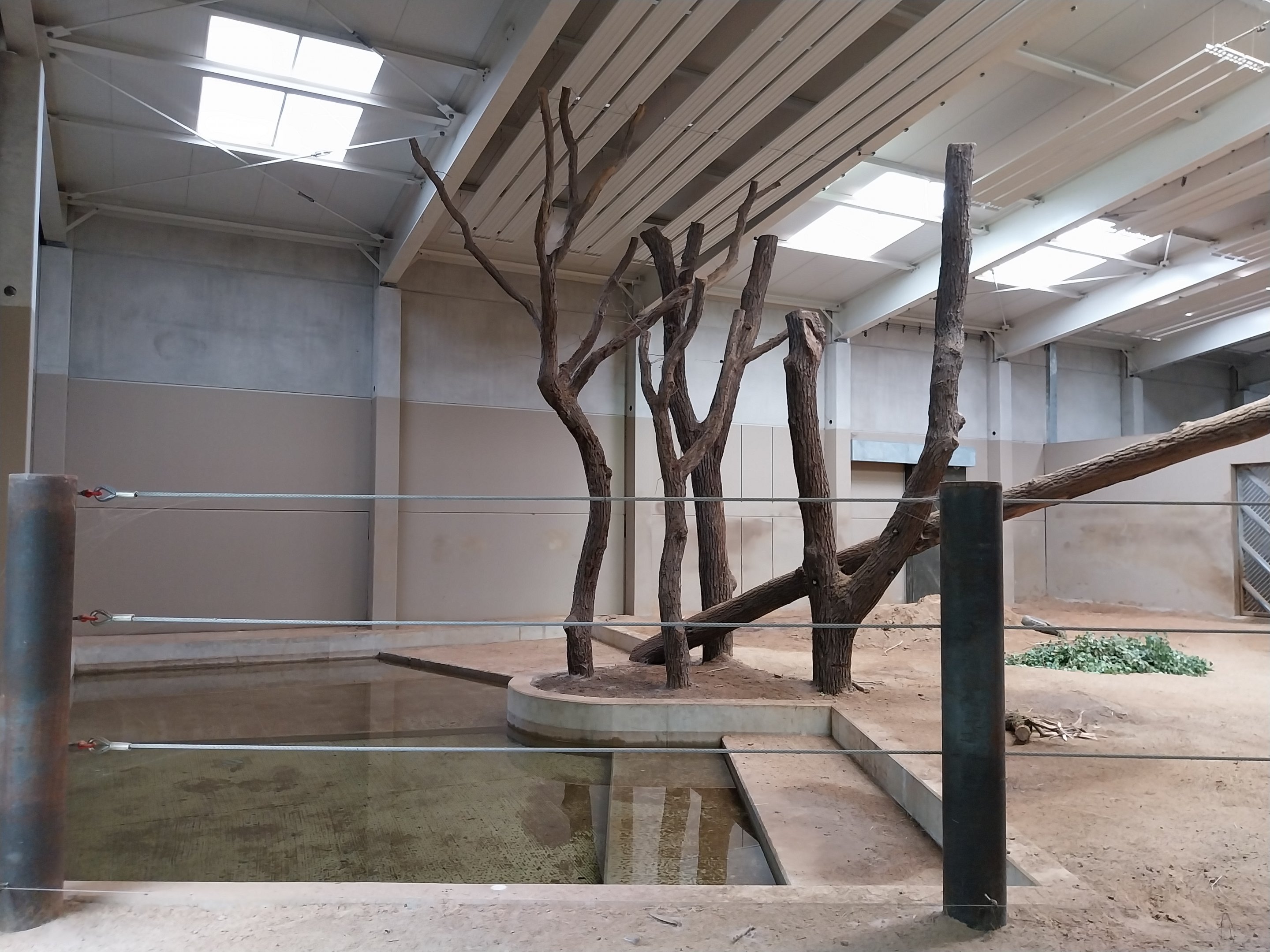 Elephant House - South-East Asian Elephant (Elephas maximus indicus)