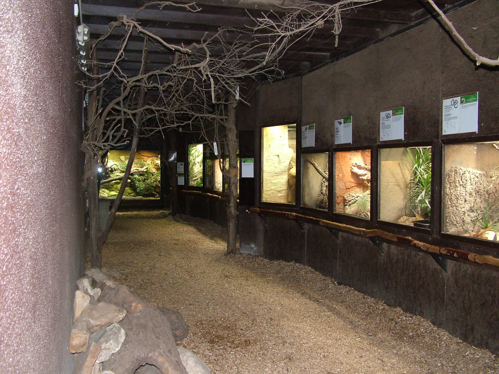 Elephant House Terrarium at Prague, 24/05/10