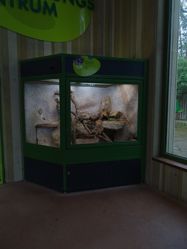 Elephant House: Turkish spiny mouse enclosure