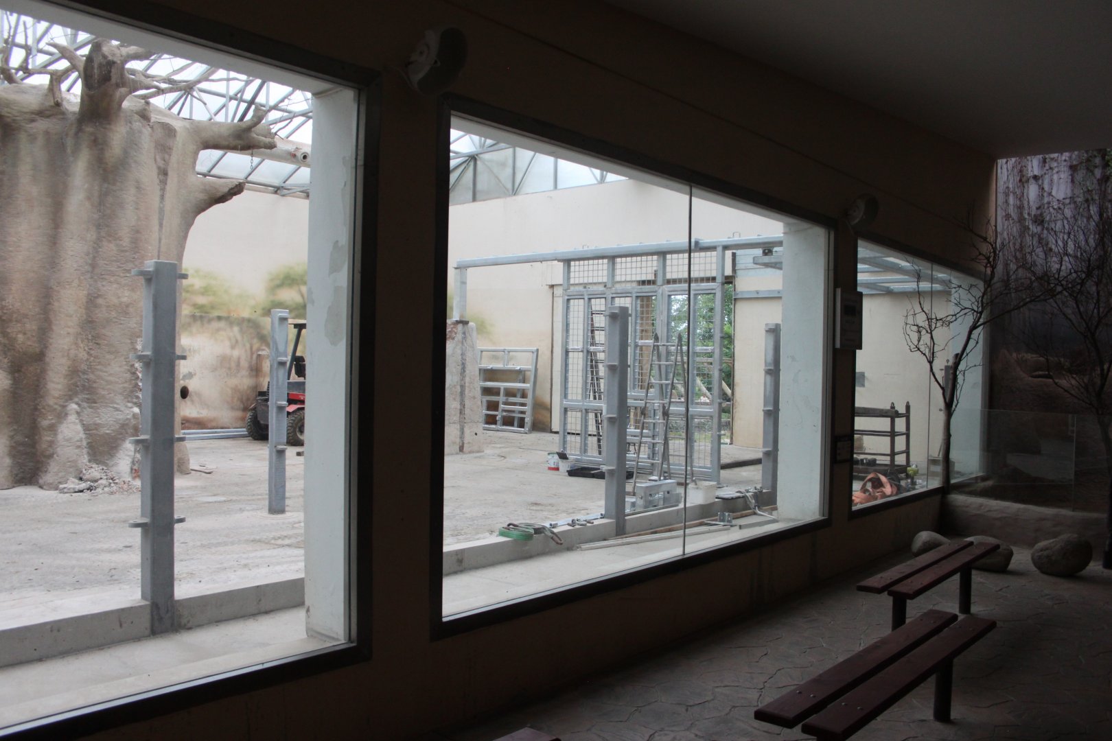 Elephant house undergoing reconstruction