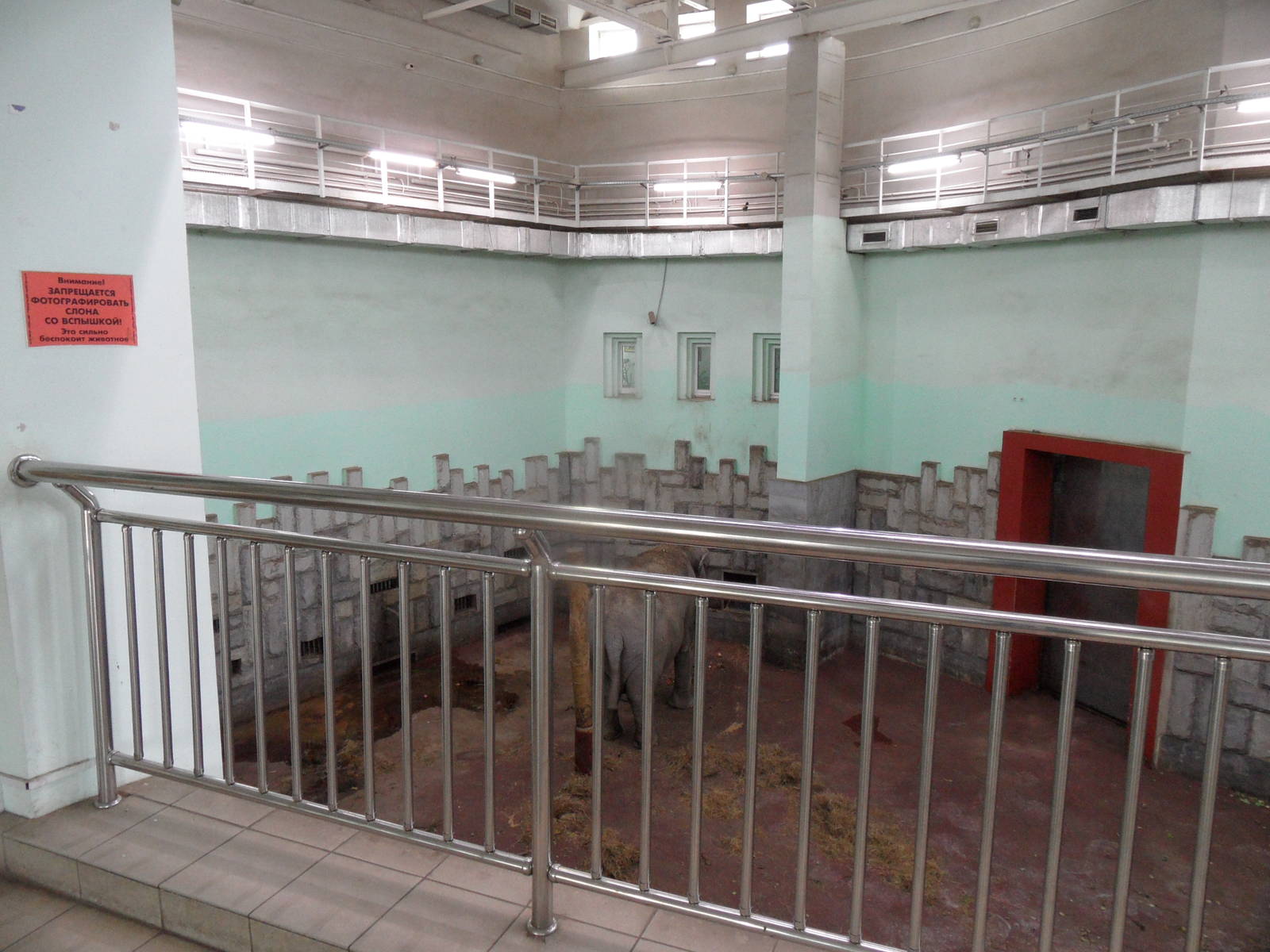 Elephant house viewing area