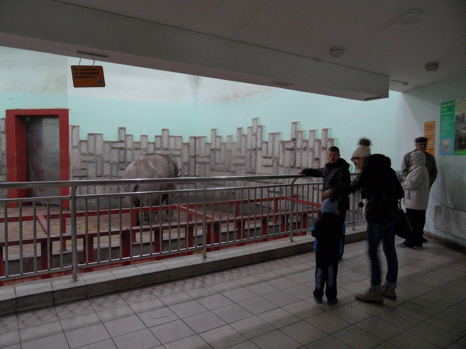 Elephant house viewing area