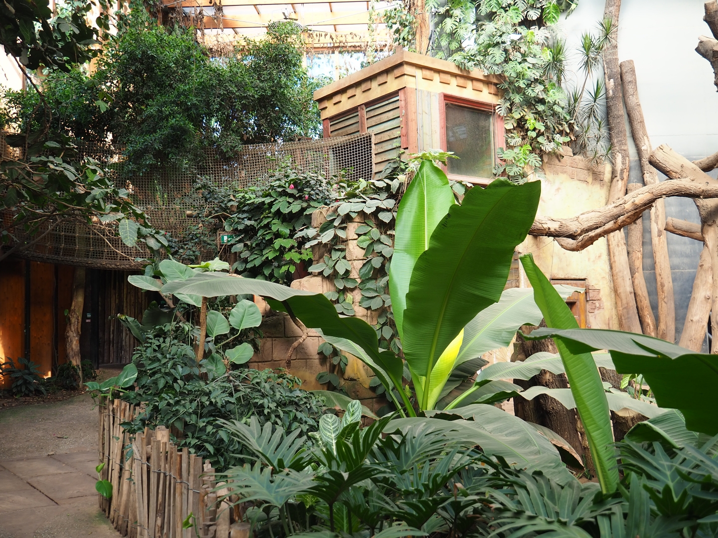 Elephant house viewing area