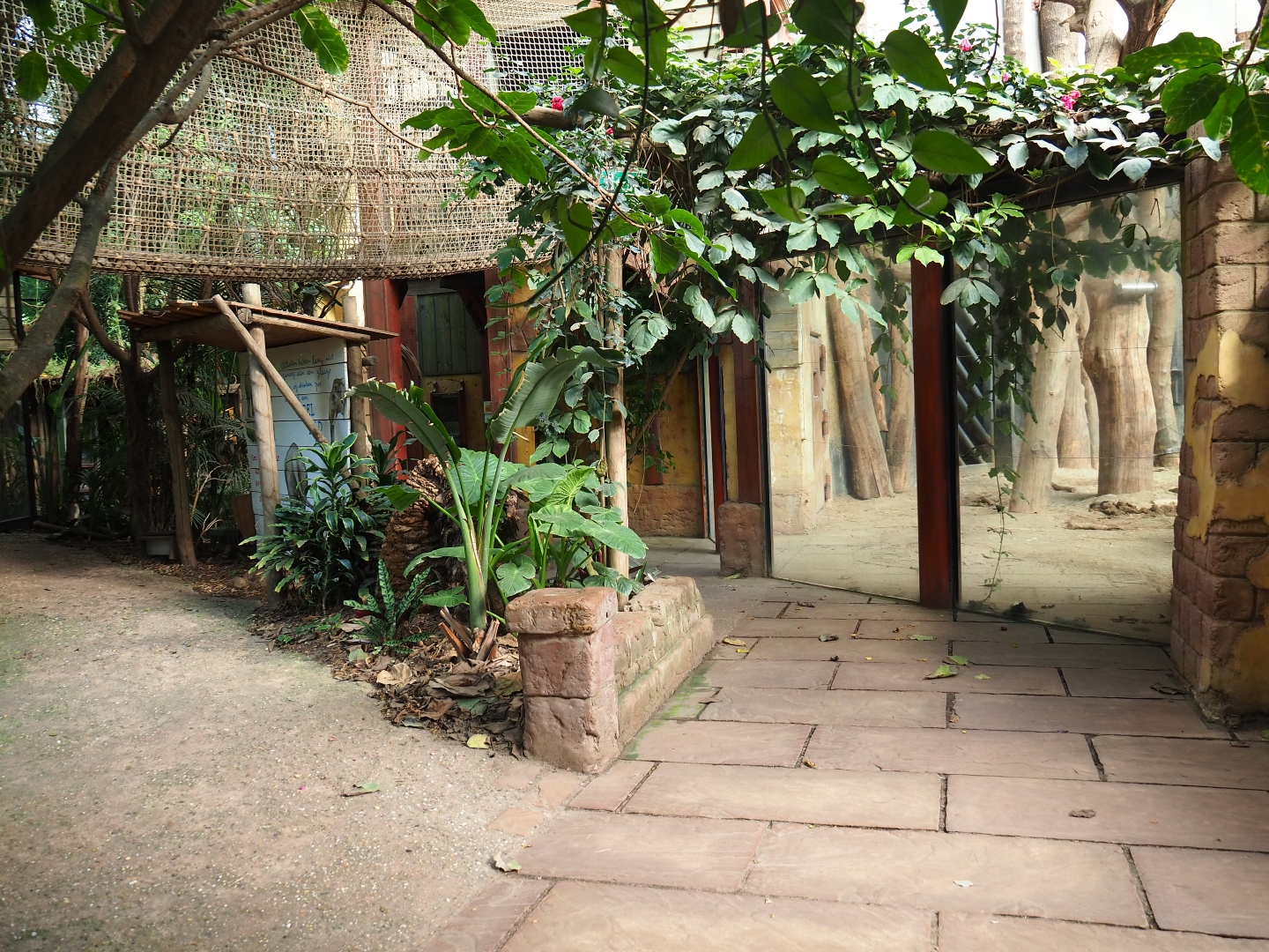 Elephant house visitor area