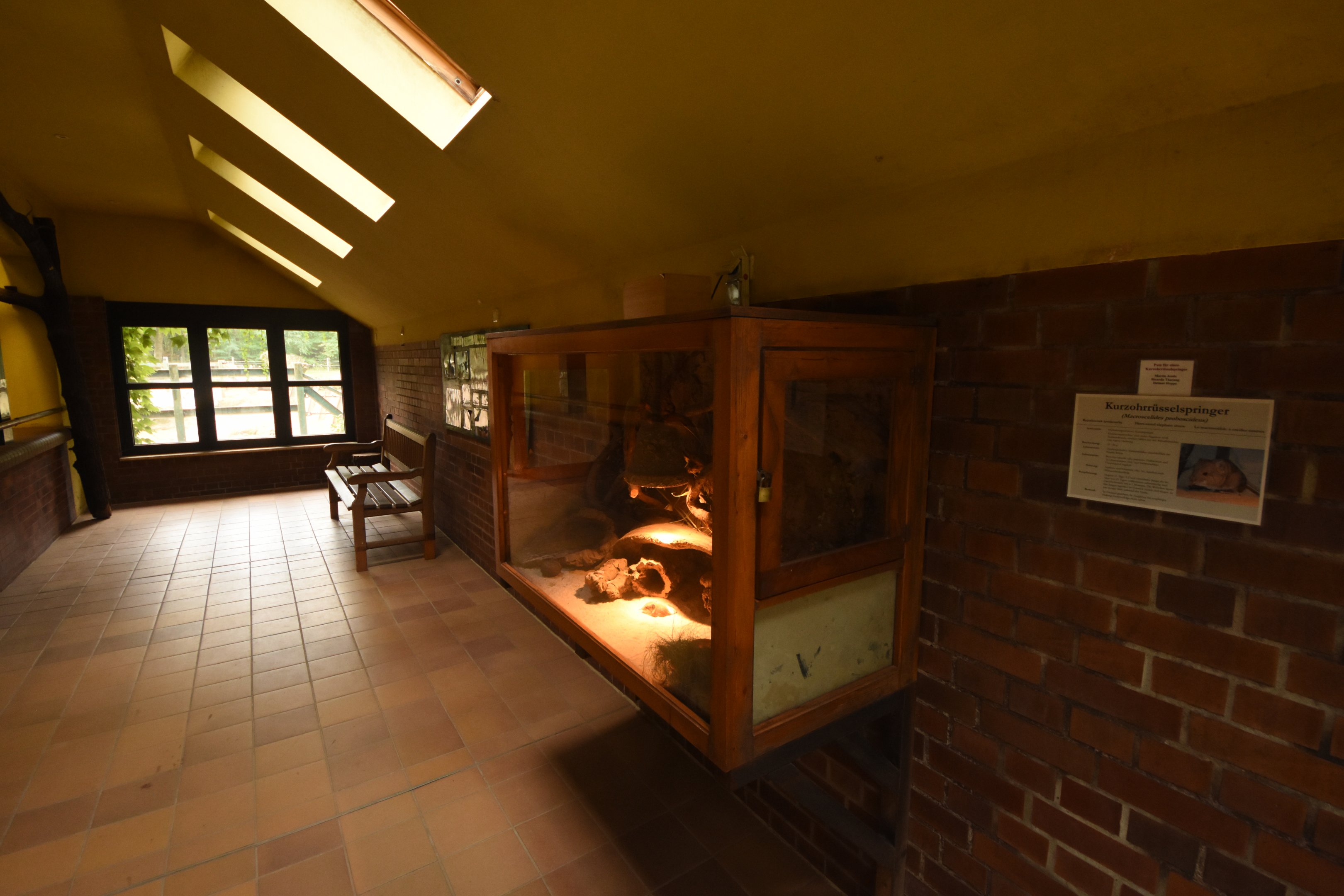 Elephant house - visitor part