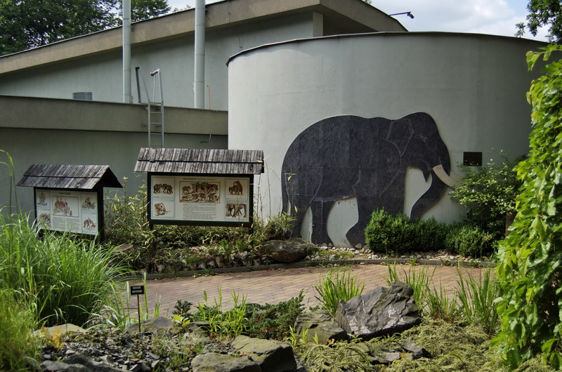 Elephant house with information panels