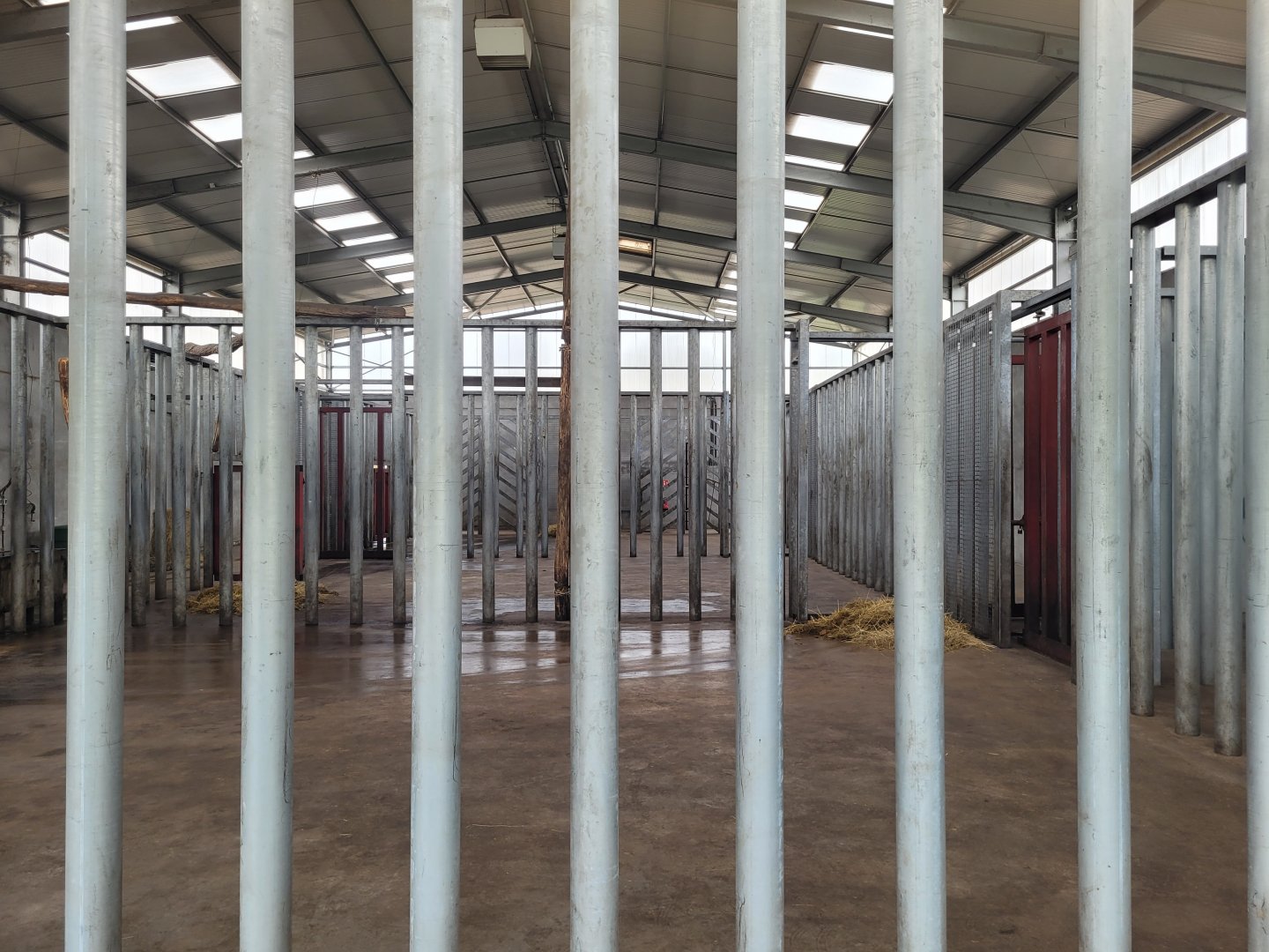 Elephant house -Zoo du bassin d'Arcachon (2024)