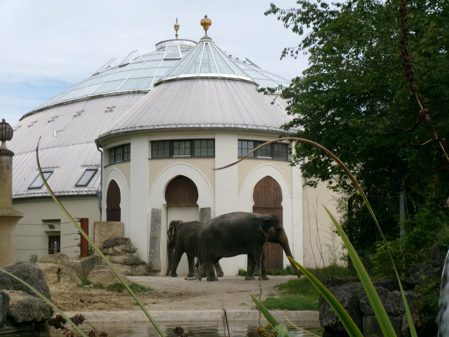 Elephant house