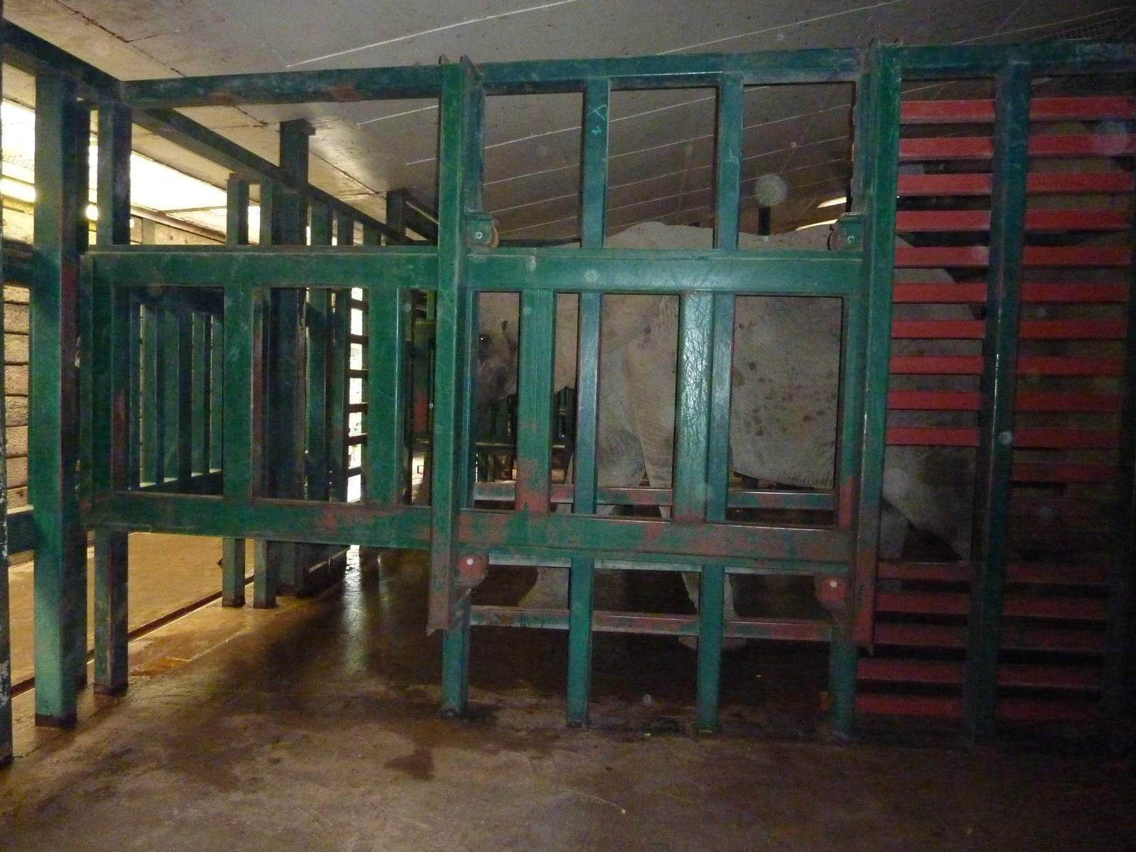 elephant in its house target training