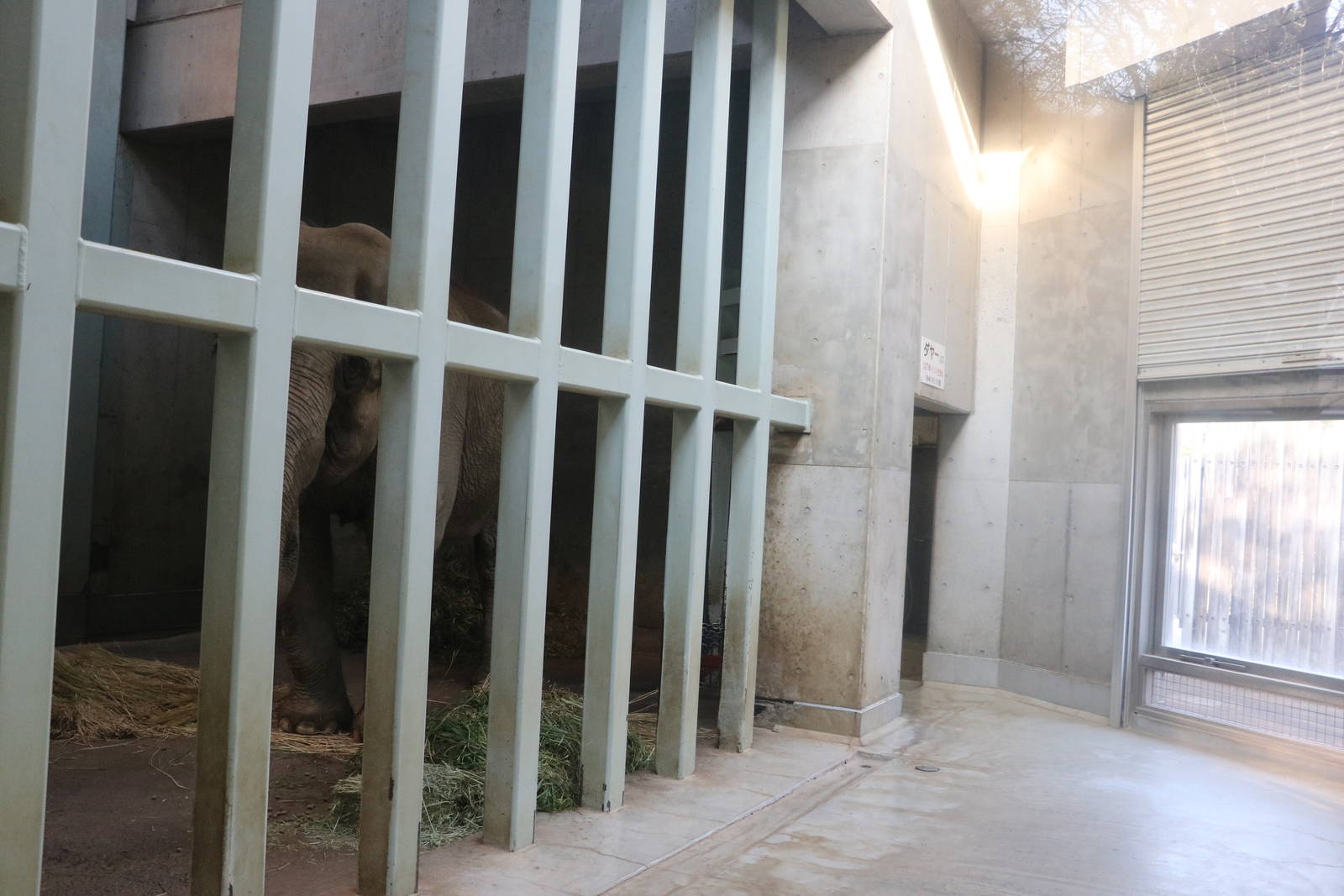 Elephant indoor area, February 2016