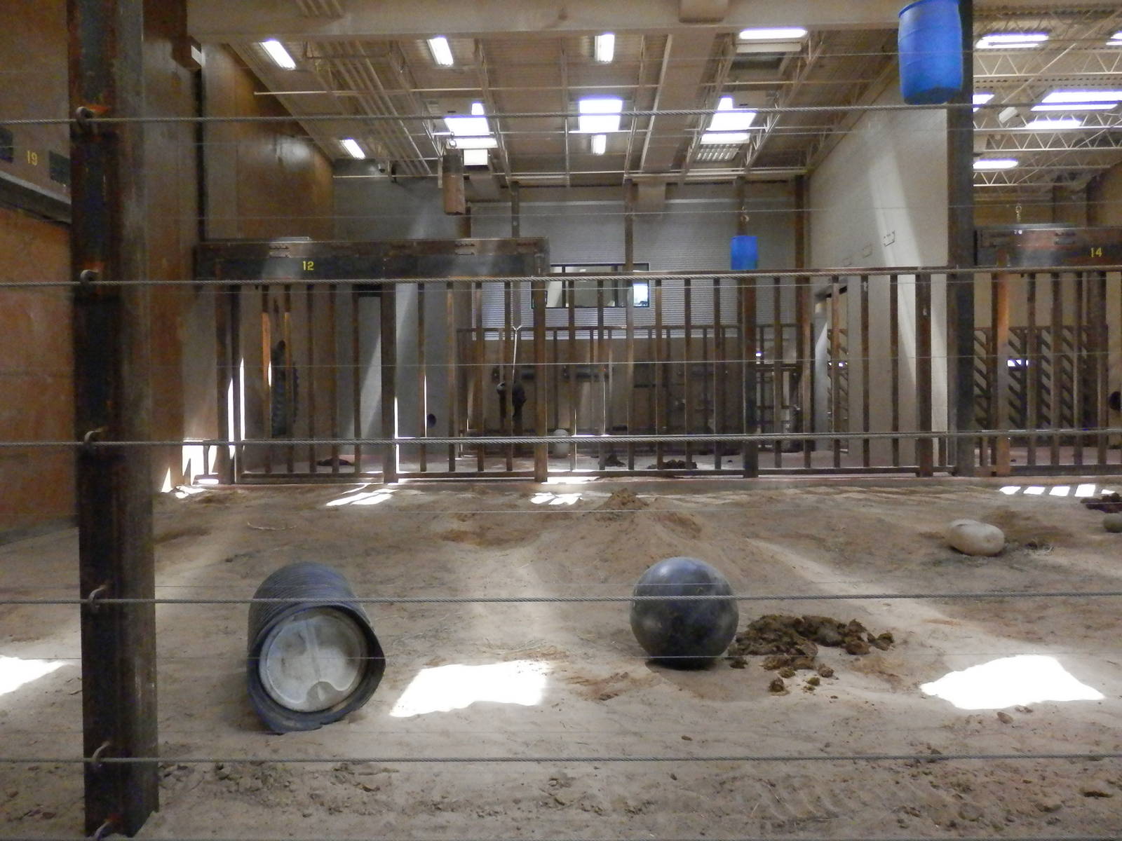 elephant indoor area