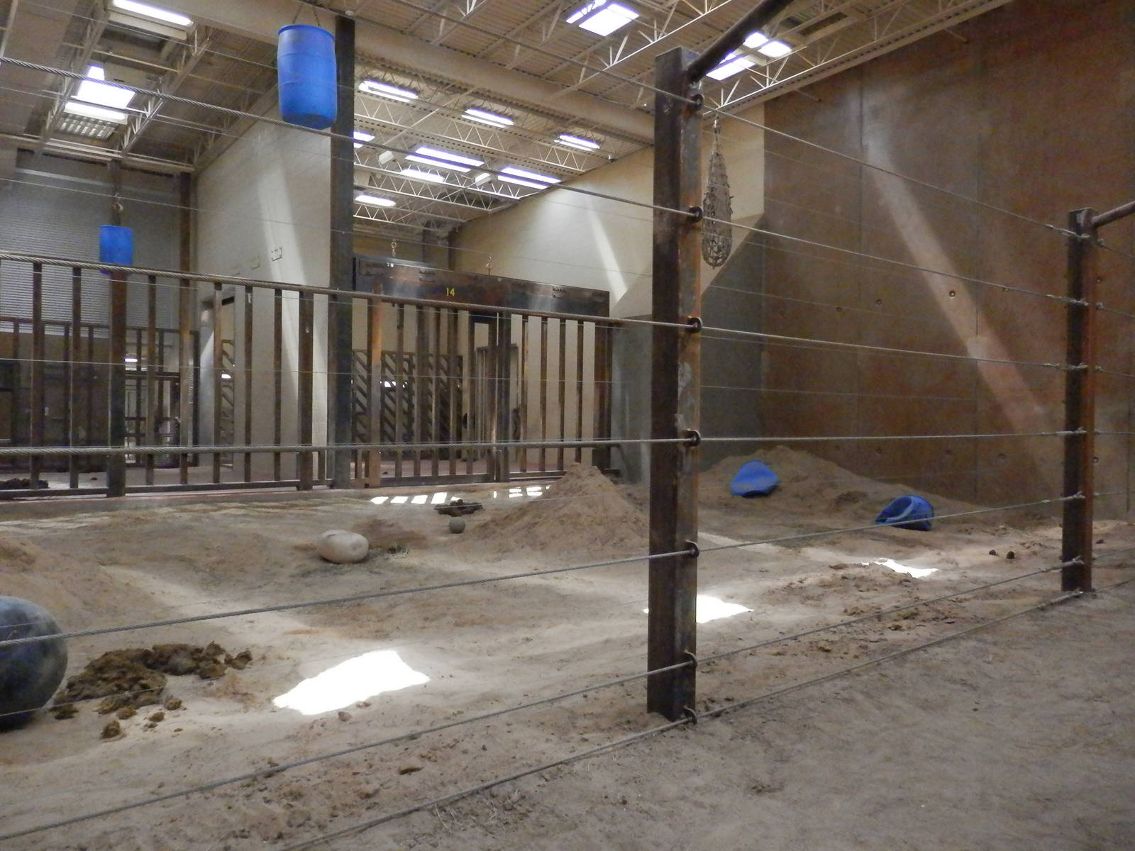 elephant indoor area