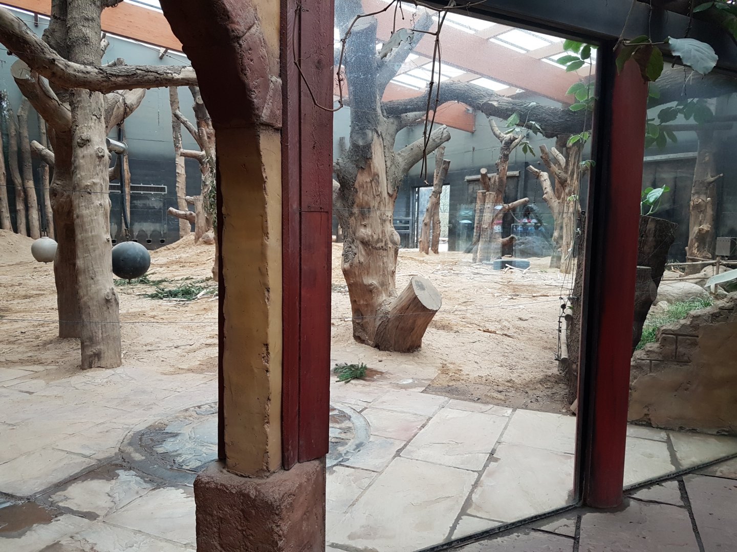 Elephant indoor-enclosure