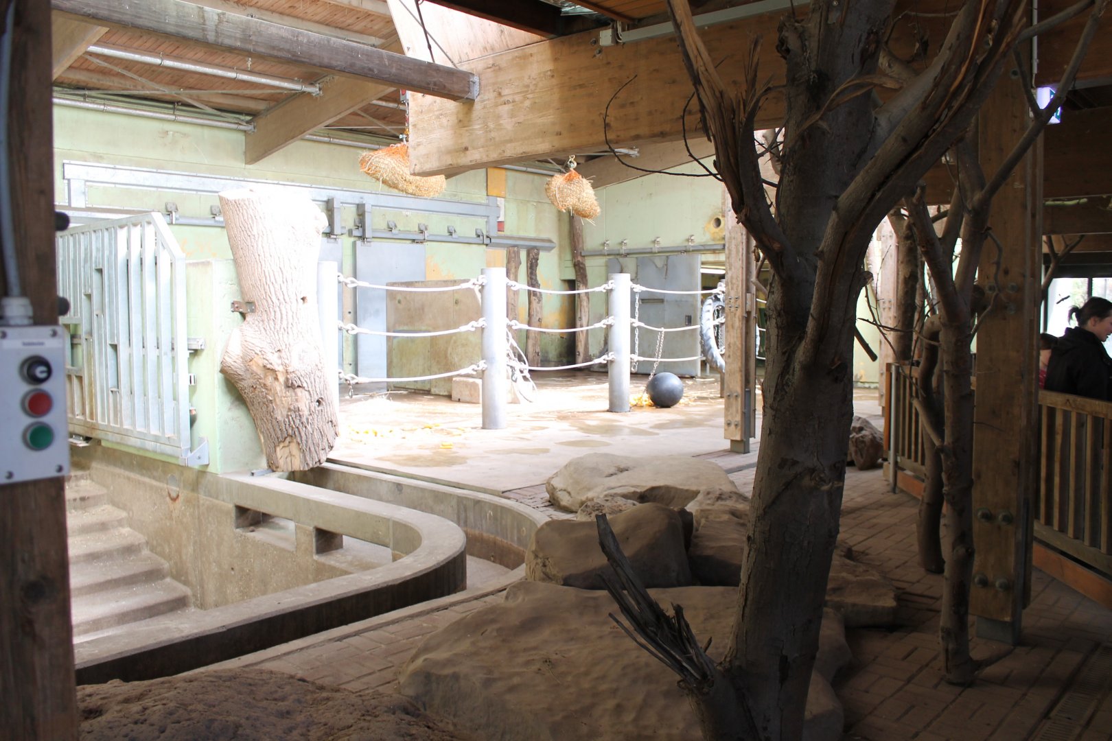 Elephant-indoor enclosure