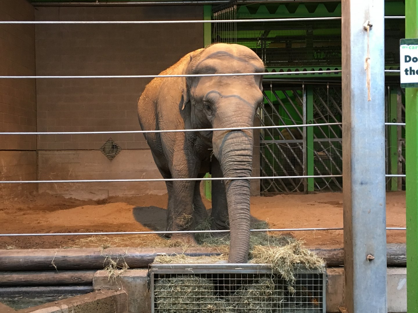 Elephant Indoor Exhibit