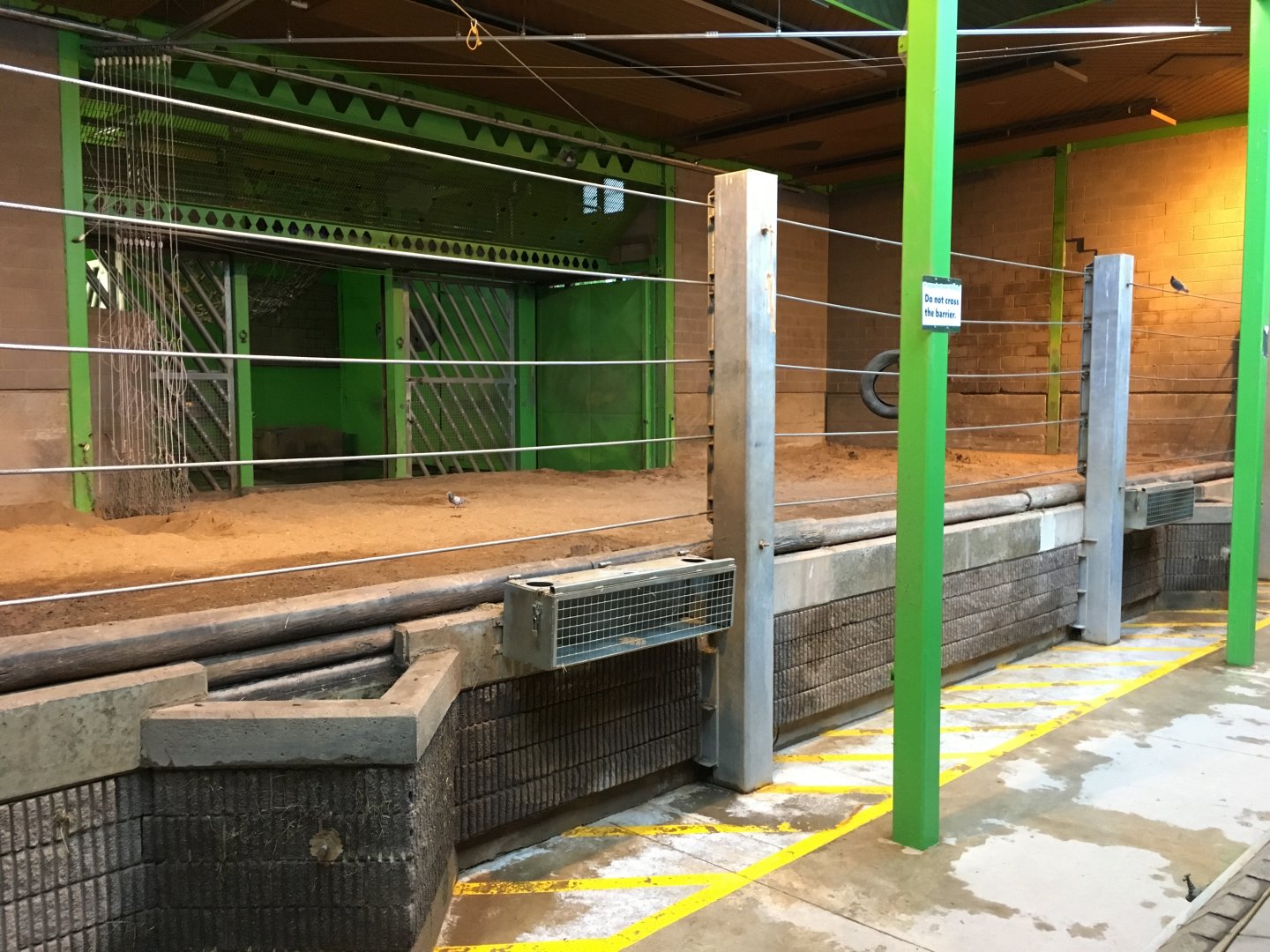 Elephant Indoor Exhibit