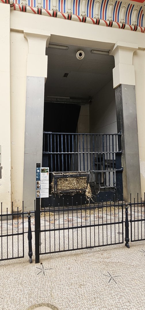 Elephant indoor stall, egyptain temple