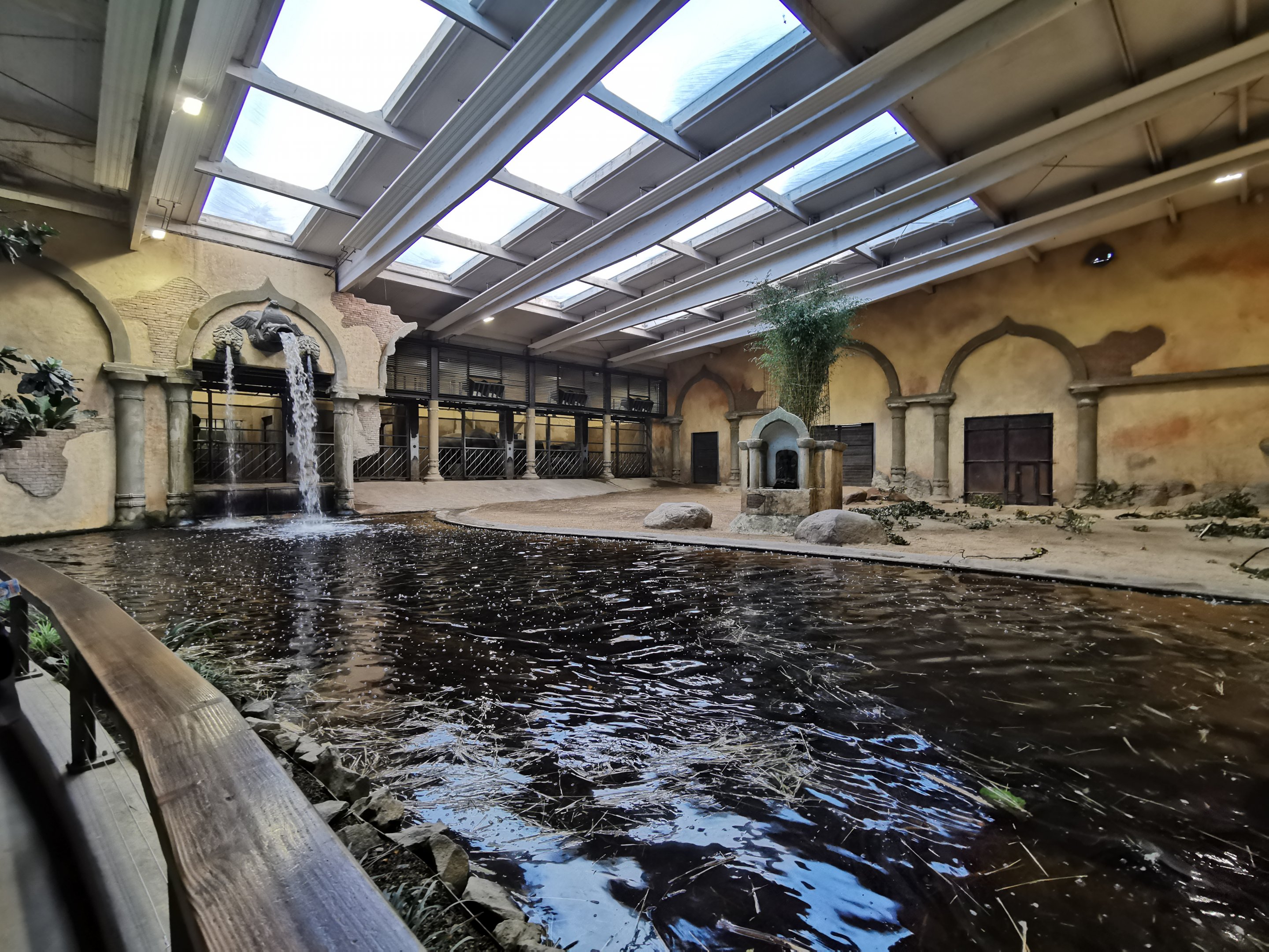 Elephant indoors - Tierpark Hagenbeck