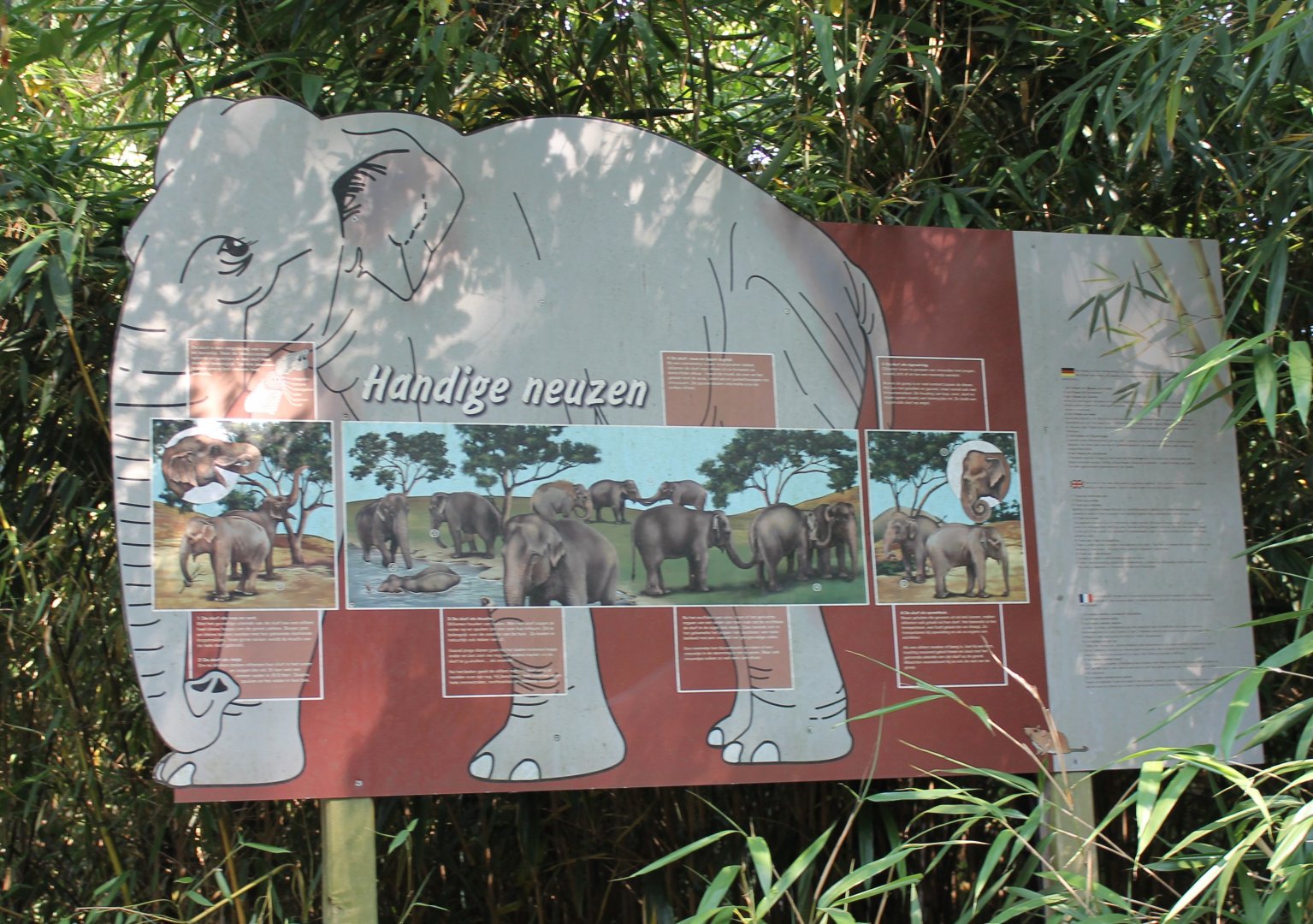 Elephant-info-sign