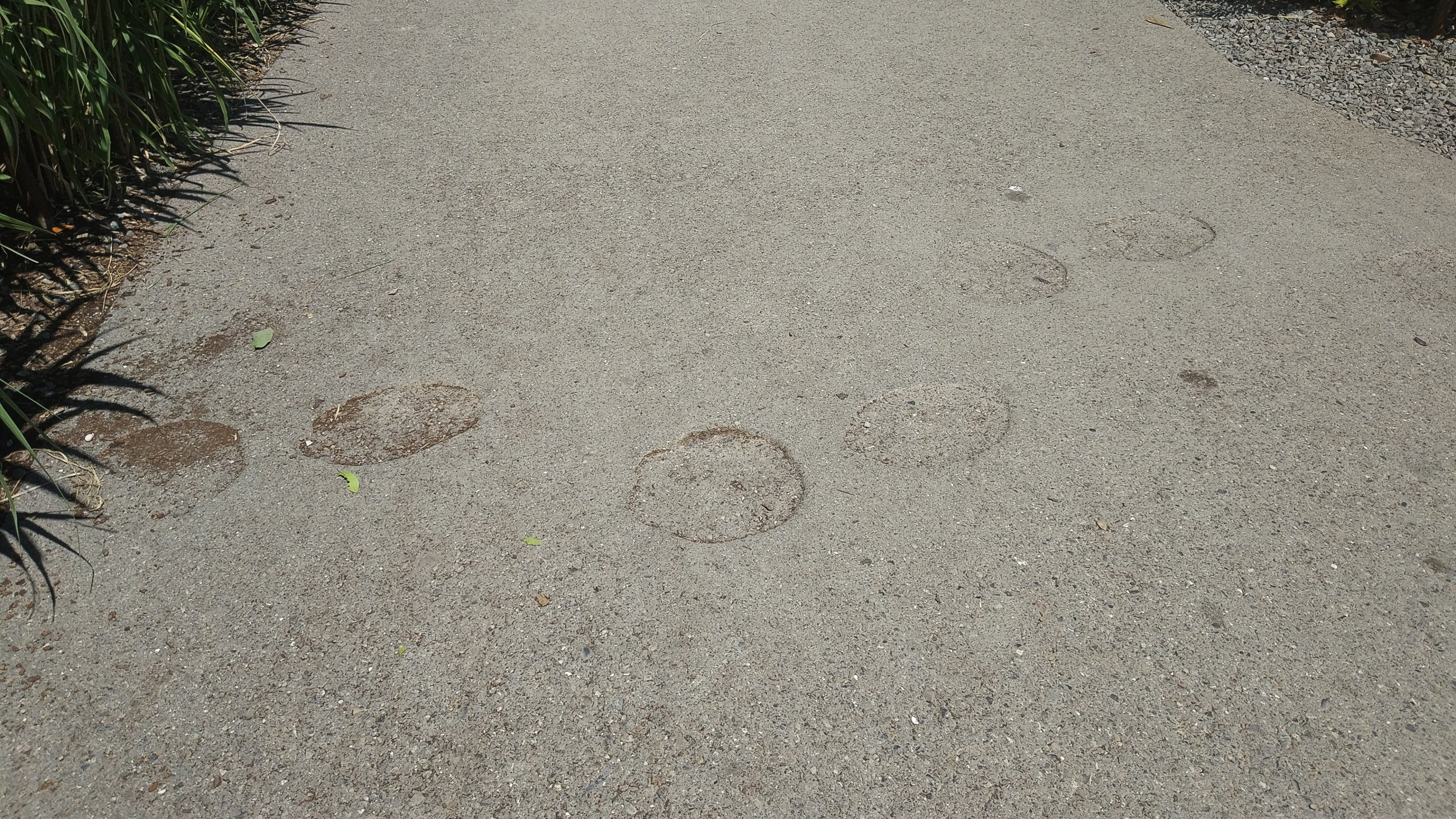 Elephant interpretation