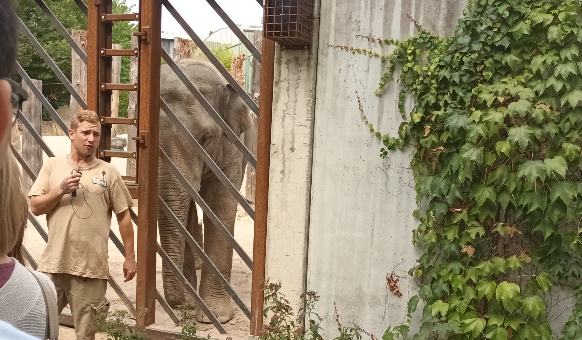 Elephant keeper talk