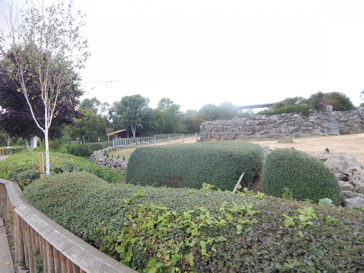 Elephant Kingdom 110925