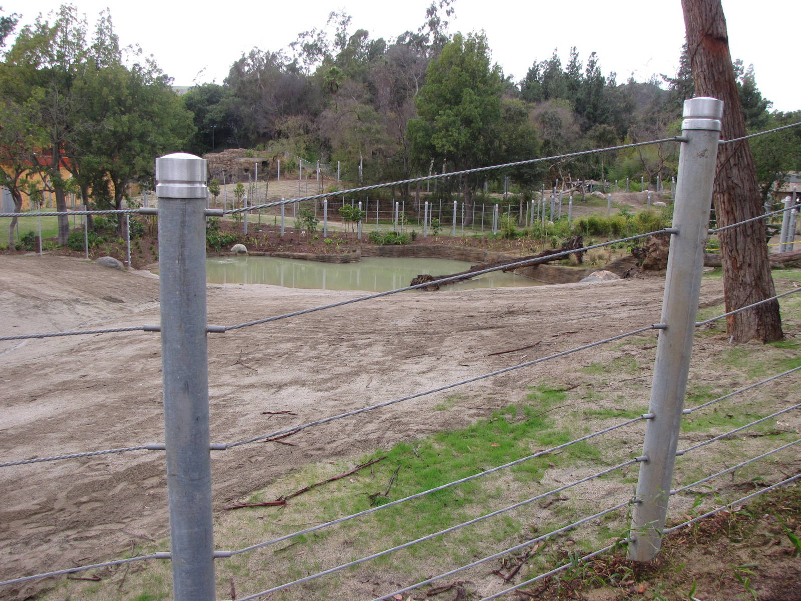 Elephant Lake - Elephants of Cambodia