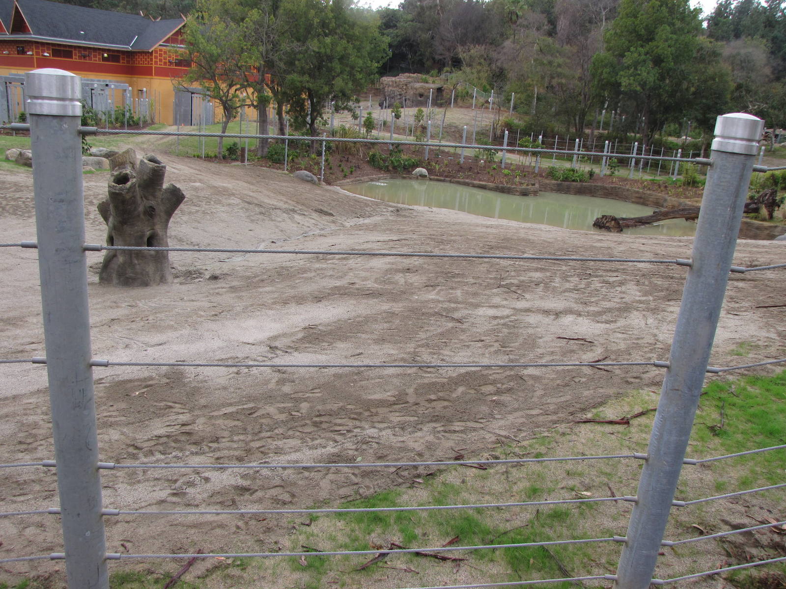 Elephant Lake - Elephants of Cambodia