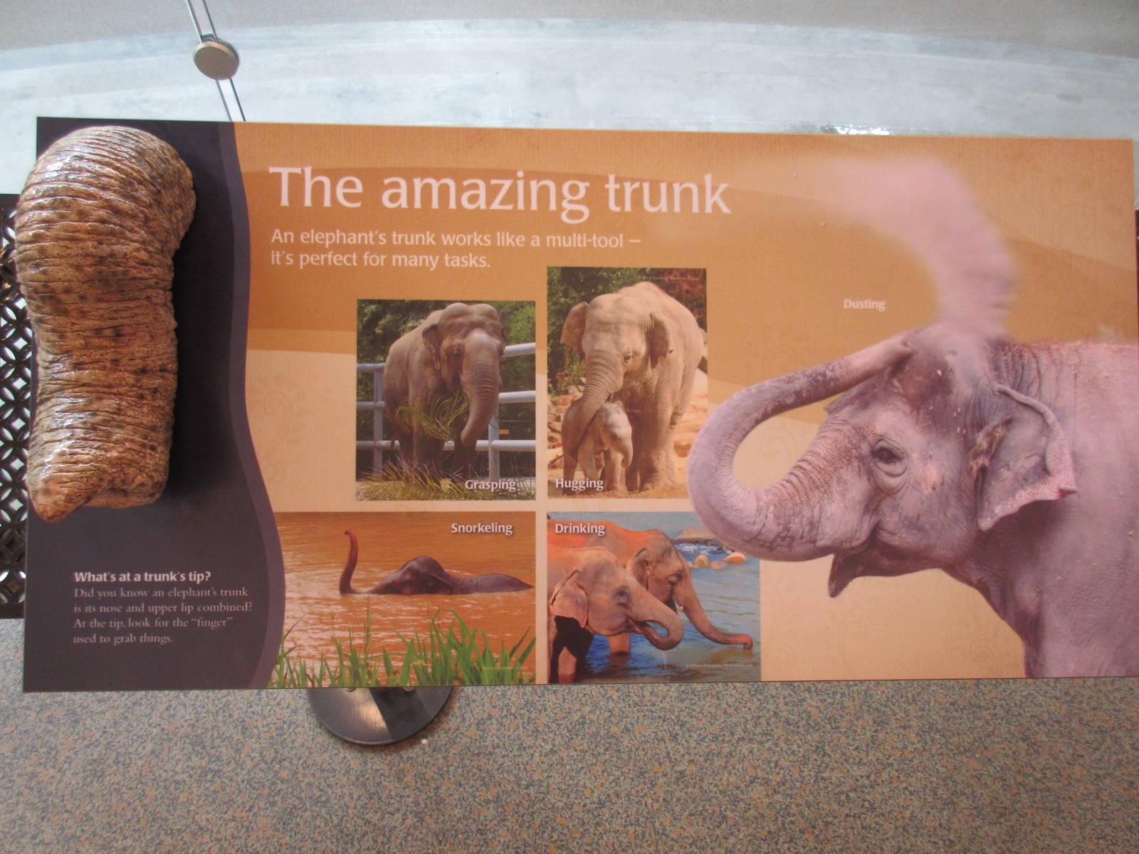 Elephant Lands (New in Dec. 2015) - $60 Million Project