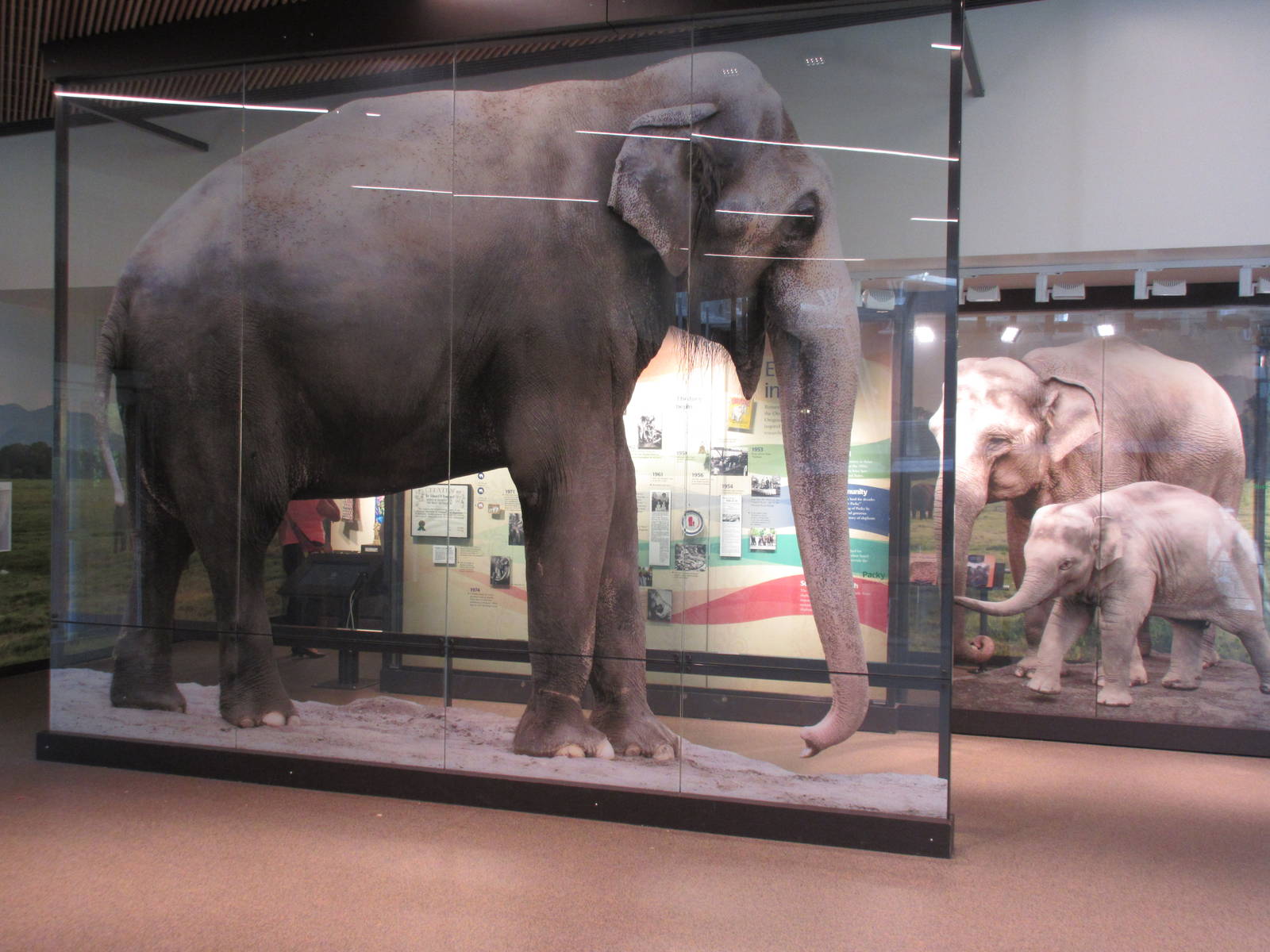 Elephant Lands (New in Dec. 2015) - $60 Million Project