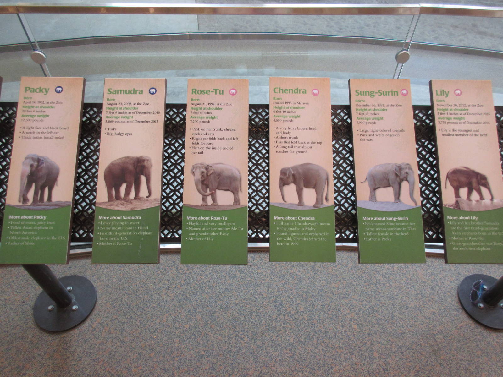 Elephant Lands (New in Dec. 2015) - $60 Million Project