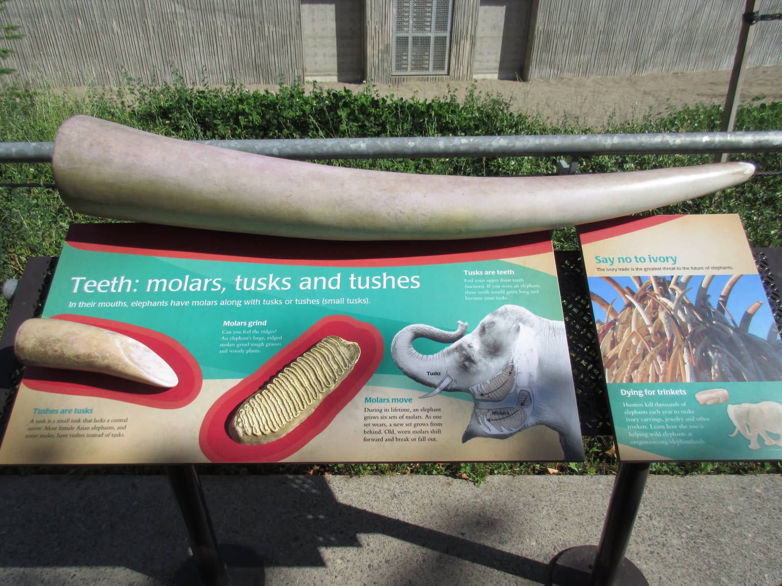 Elephant Lands (New in Dec. 2015) - $60 Million Project