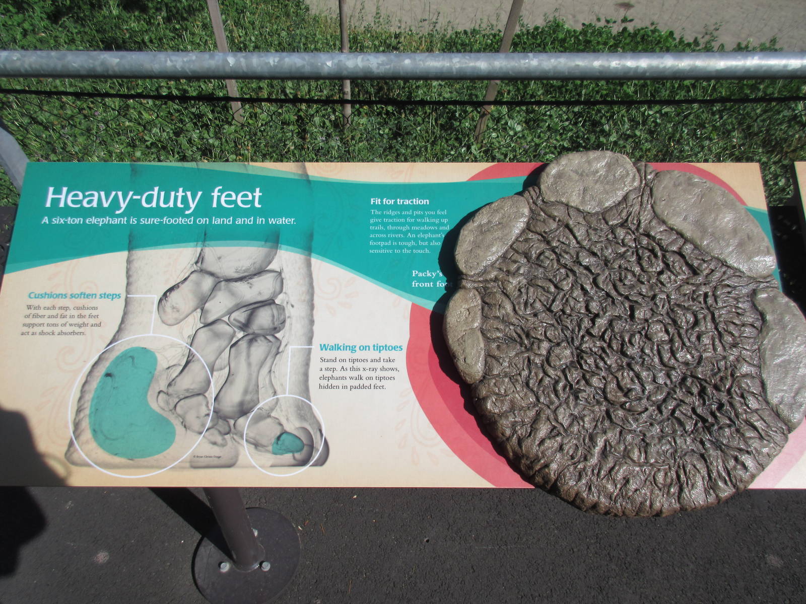 Elephant Lands (New in Dec. 2015) - $60 Million Project