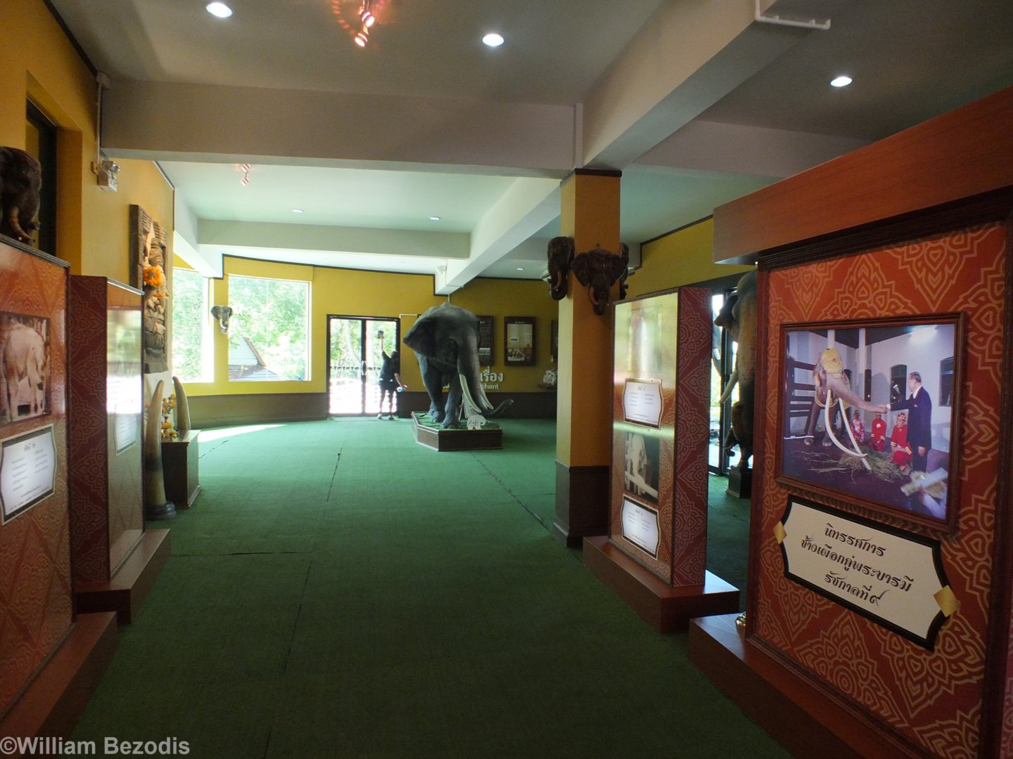 Elephant Learning Station