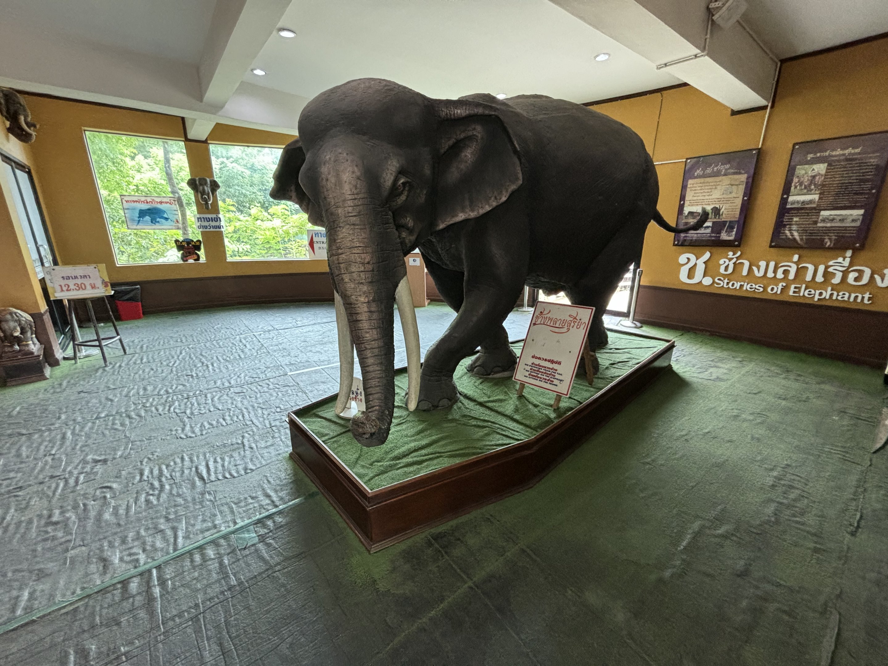 Elephant Learning Station