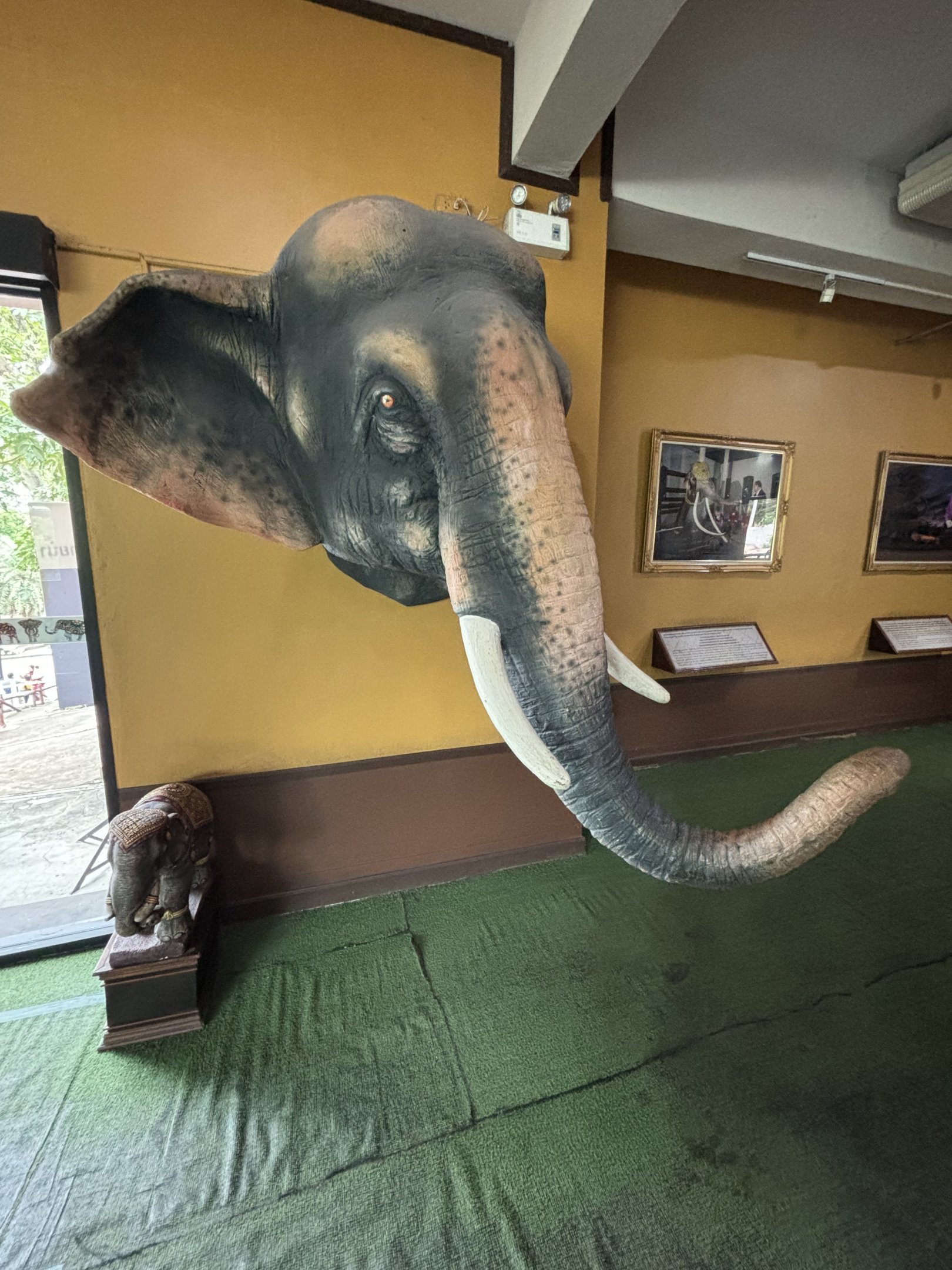 Elephant Learning Station