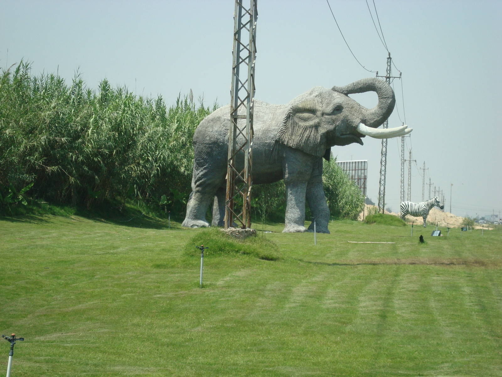 Elephant model outside park