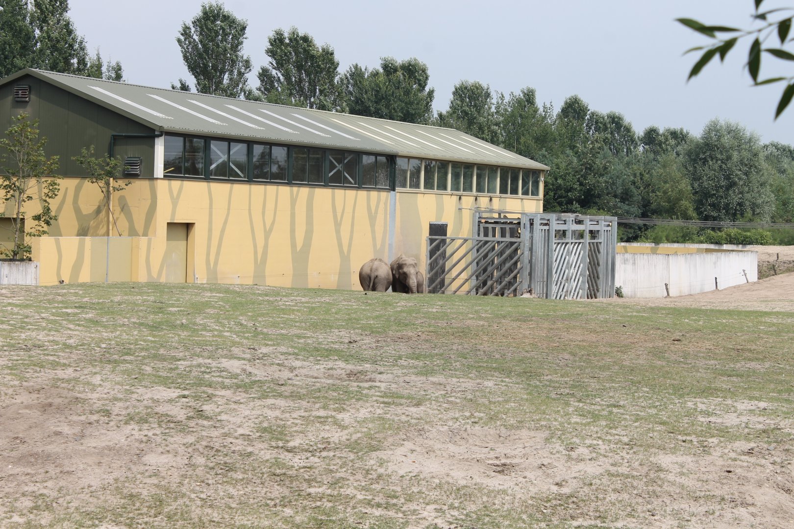 Elephant - Monkey stable