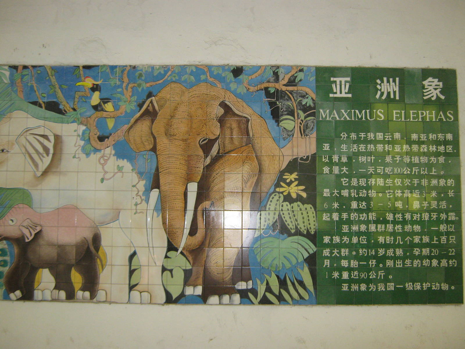 elephant mural signage