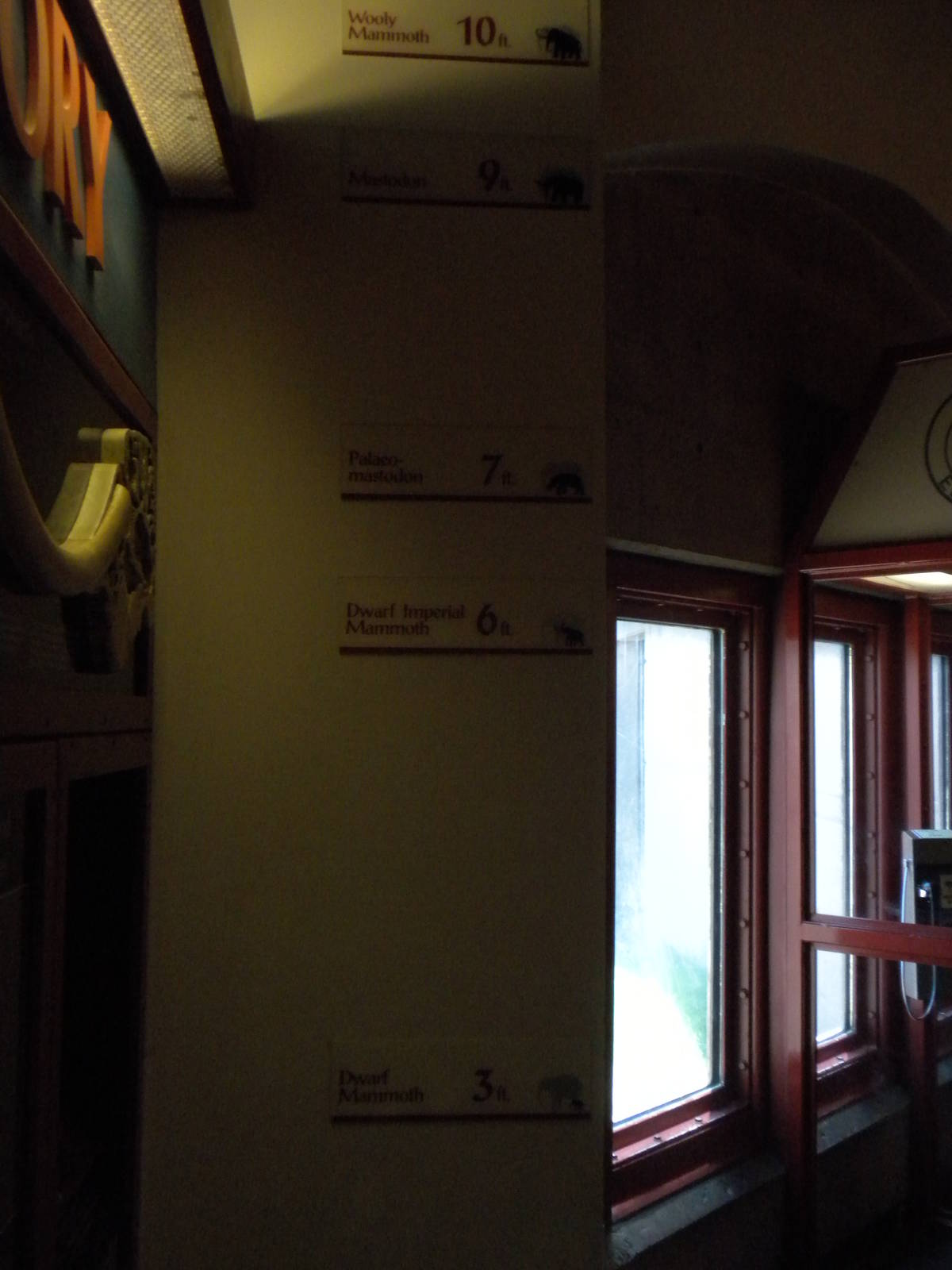 Elephant Museum - ancient elephant heights