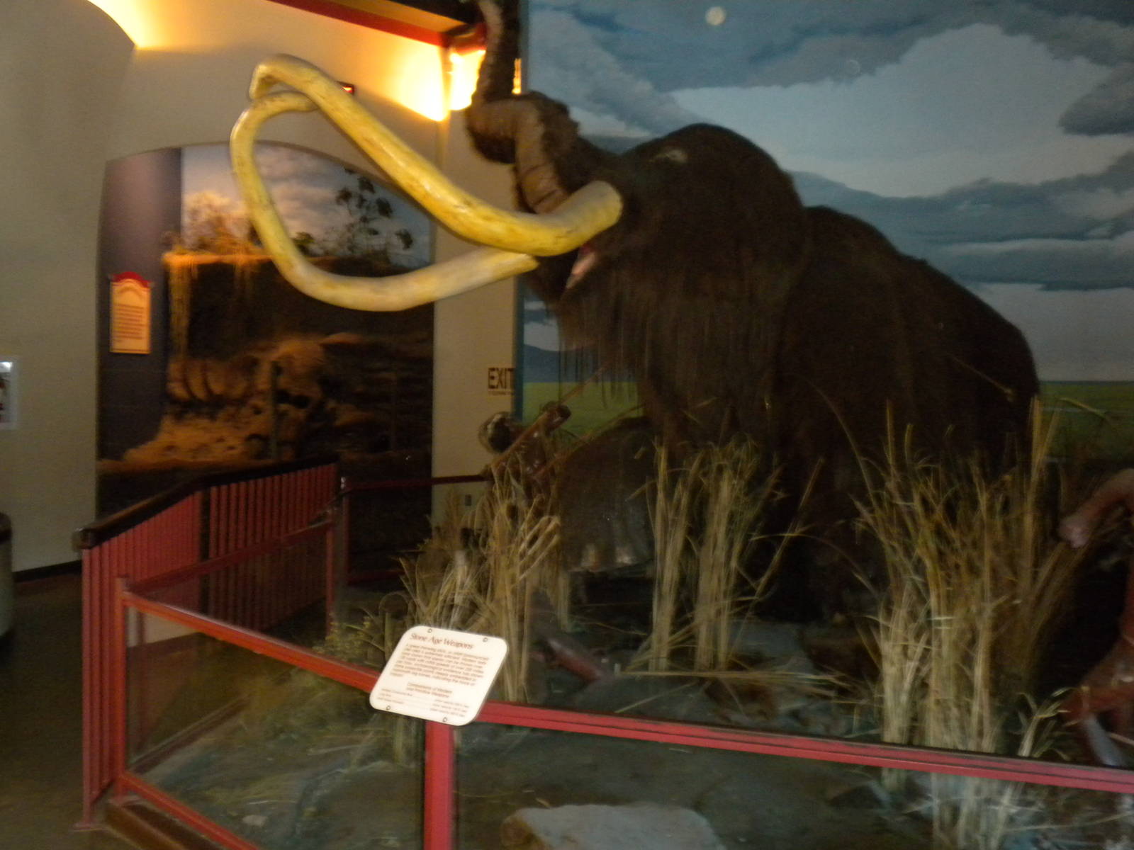 Elephant Museum - Mammoth scene