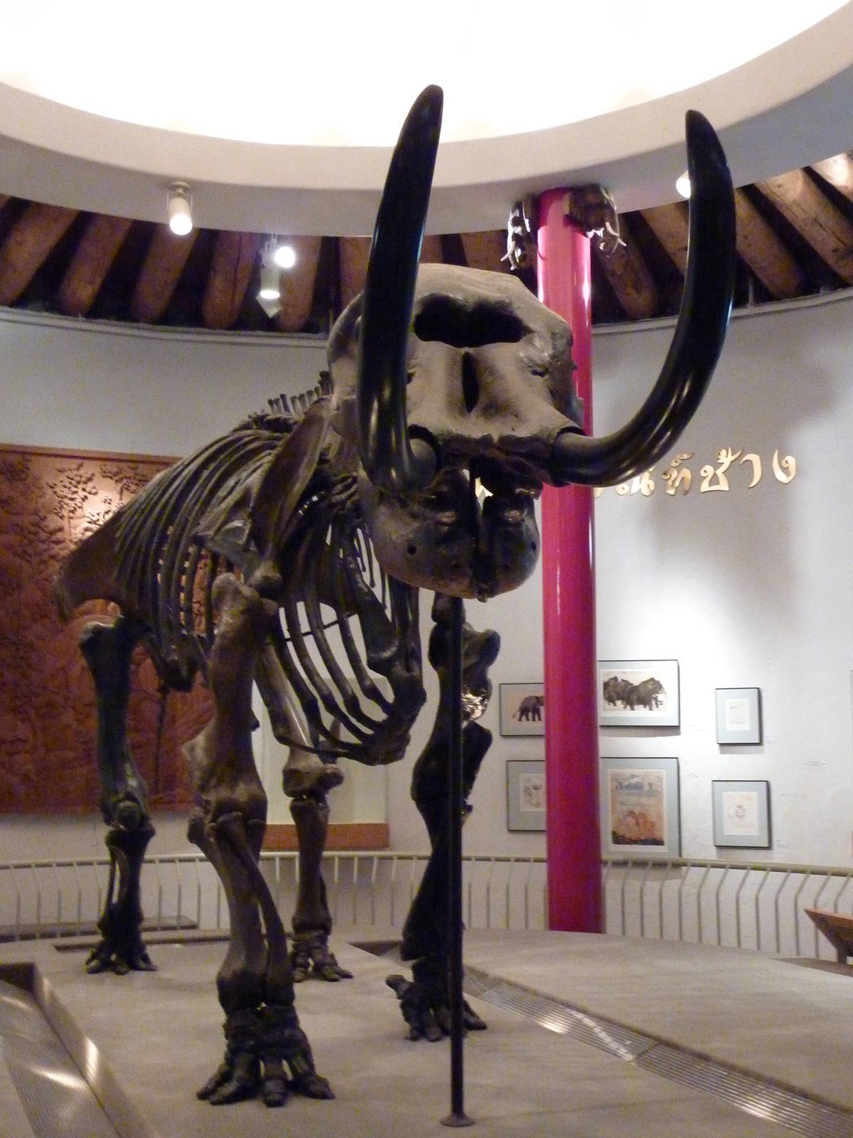 Elephant Museum - Mastodon