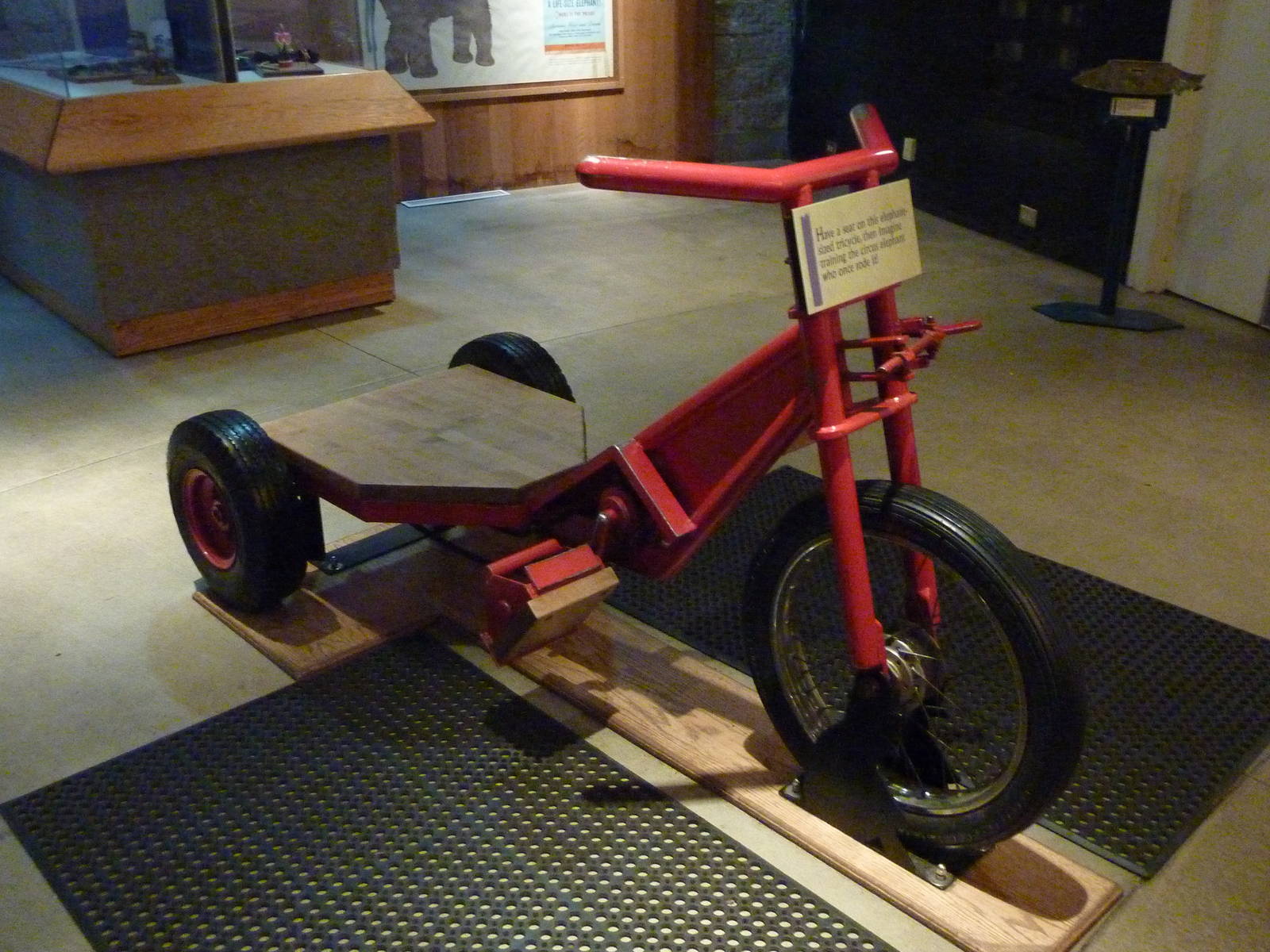 Elephant Museum - Pachyderm Bicycle