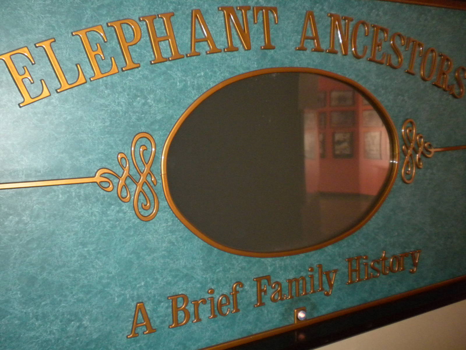 Elephant Museum