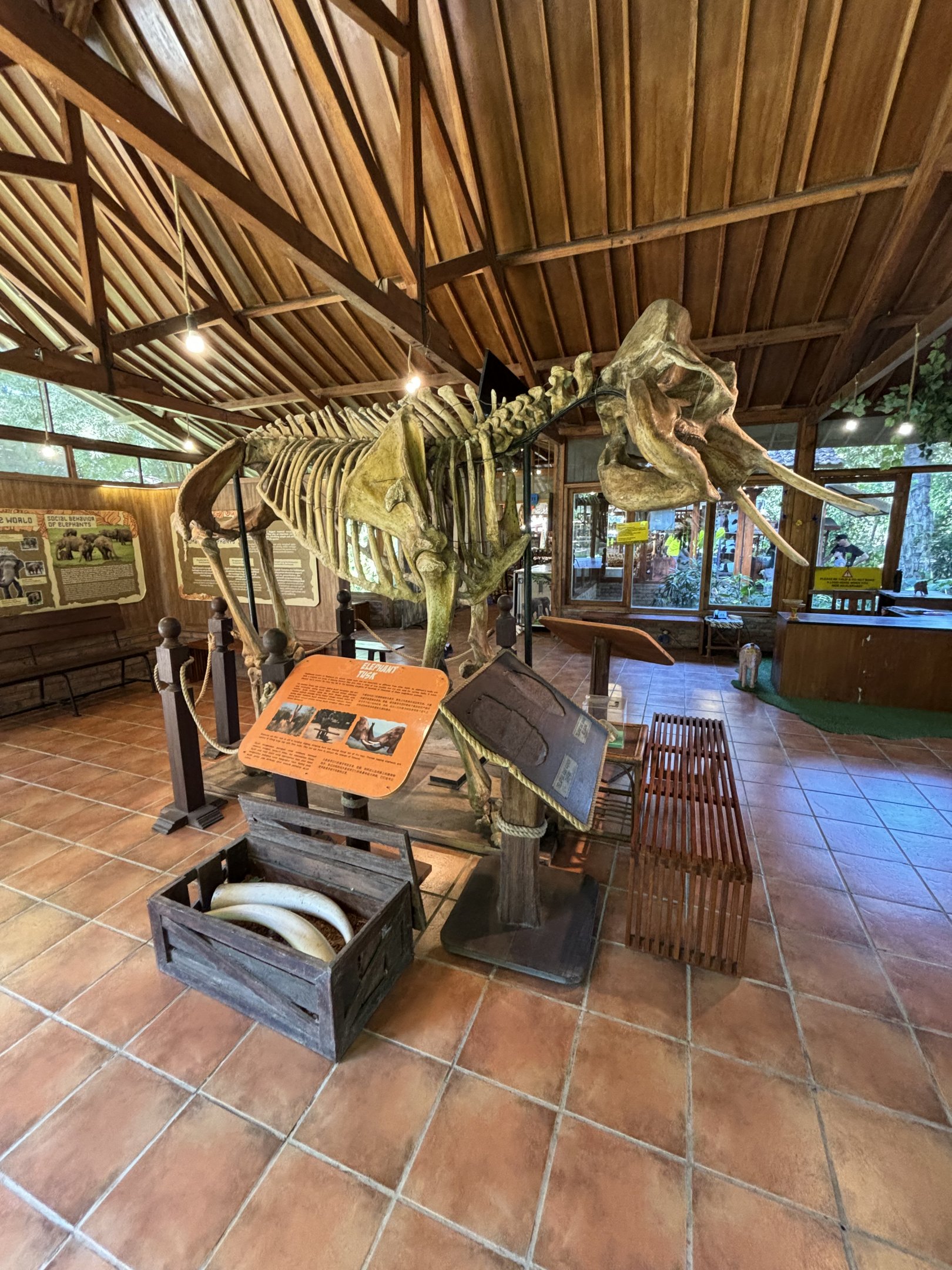 Elephant Museum
