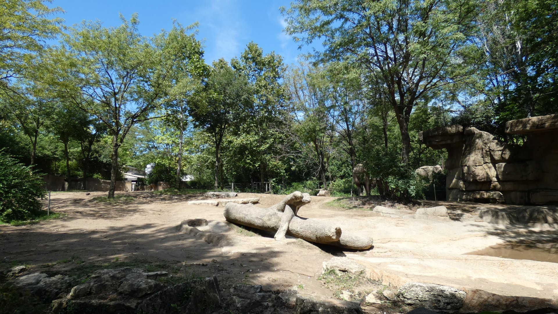 Elephant Oasis, Asia, River's Edge  - Sep. 2021