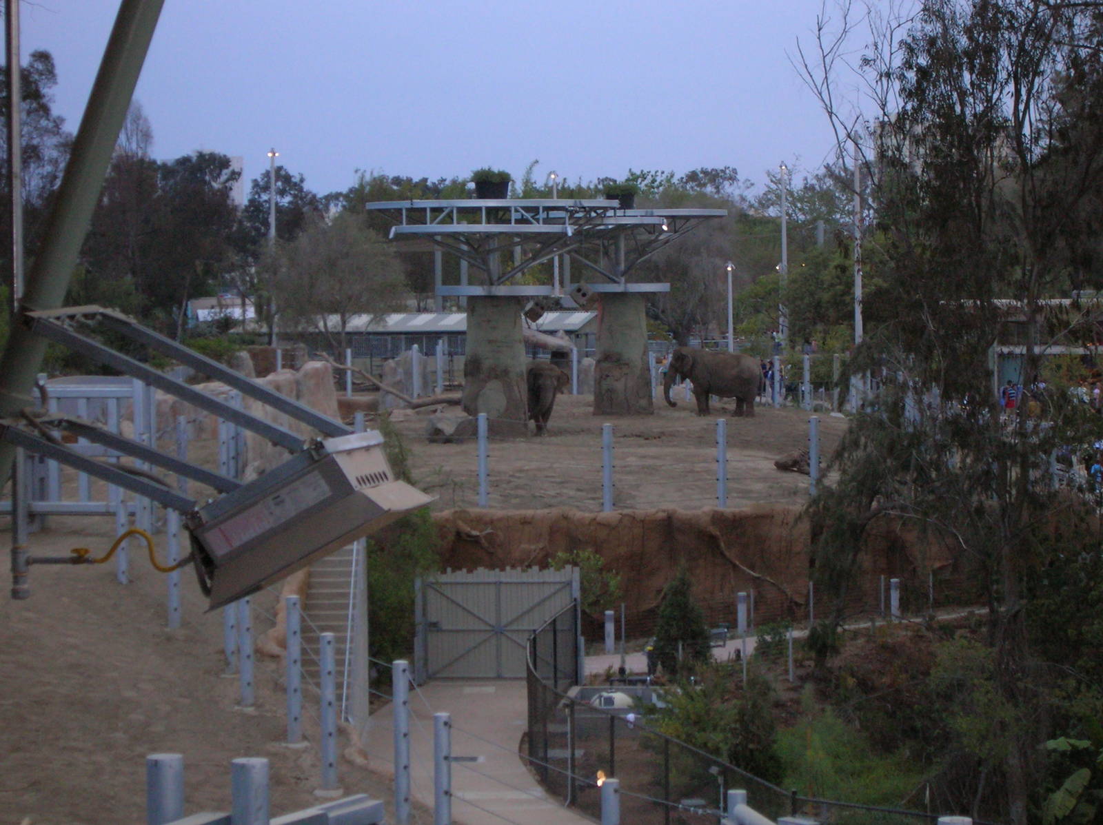 Elephant Odyssey 2009