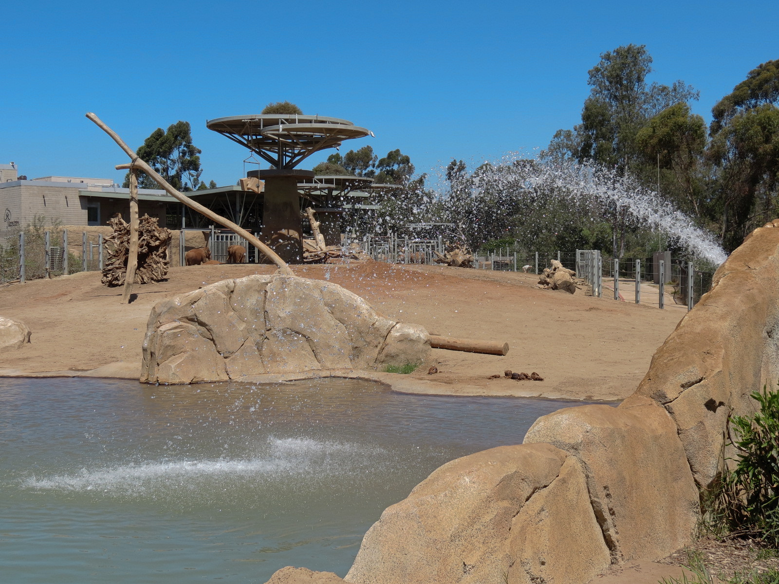 Elephant Odyssey - African and Asian Elephant Exhibit 1