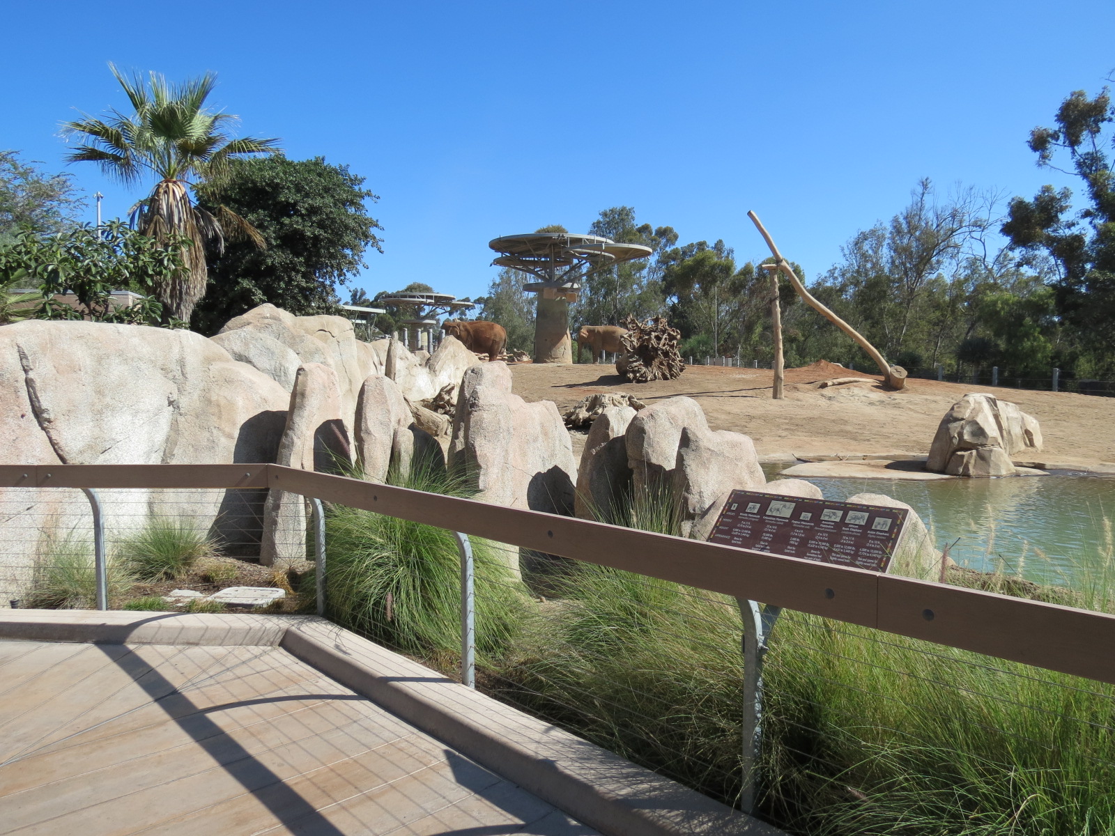 Elephant Odyssey - African and Asian Elephant Exhibit 1