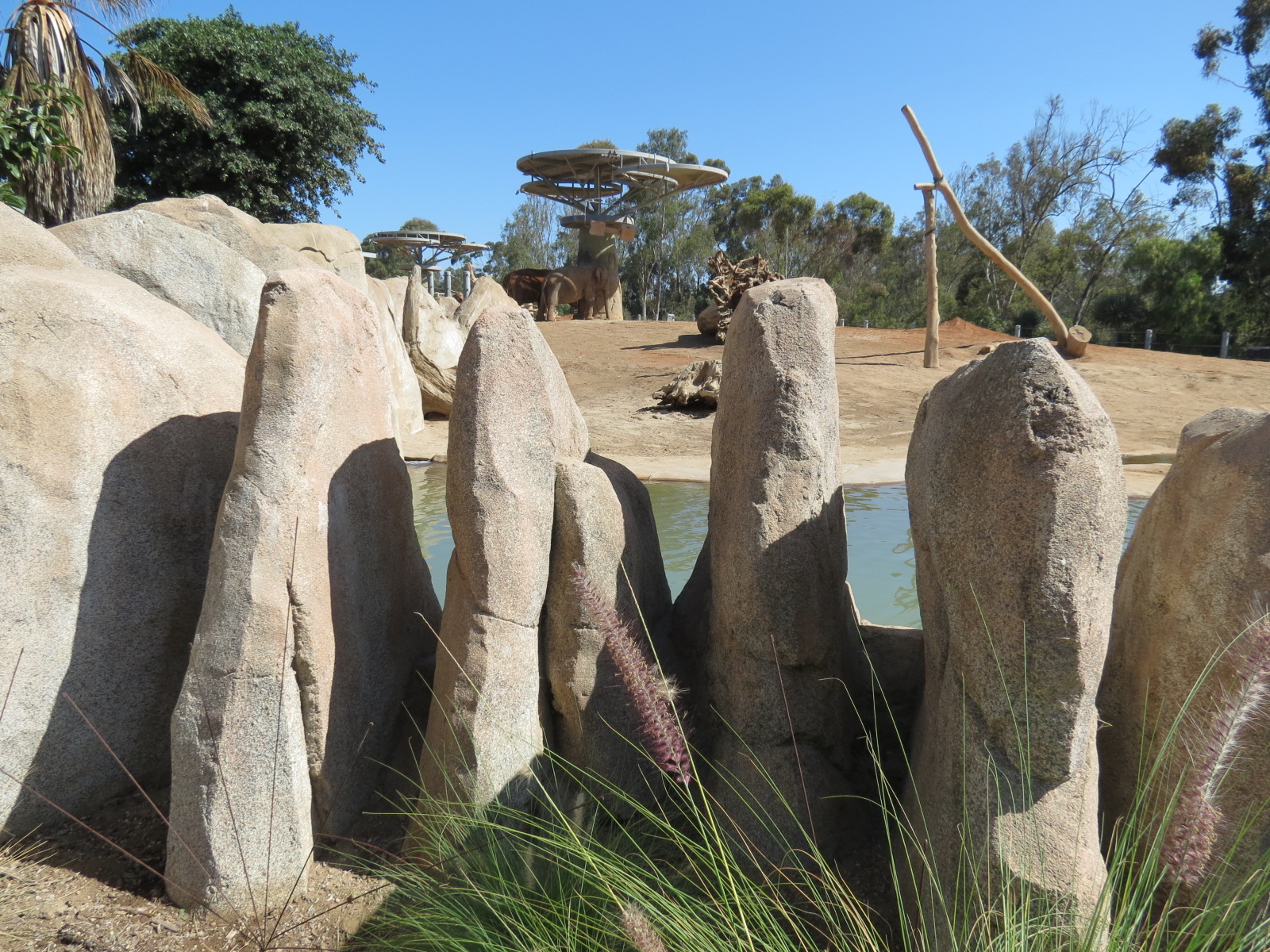 Elephant Odyssey - African and Asian Elephant Exhibit 1